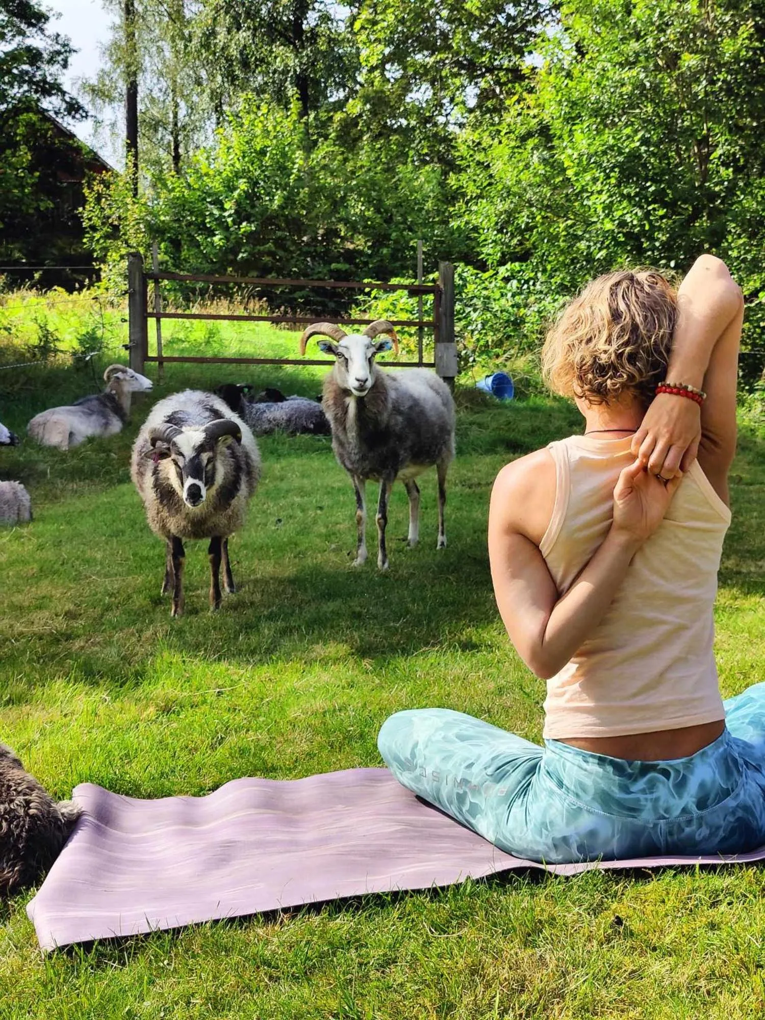 Fitness centre/facilities in Escape to PaulssonPaleo