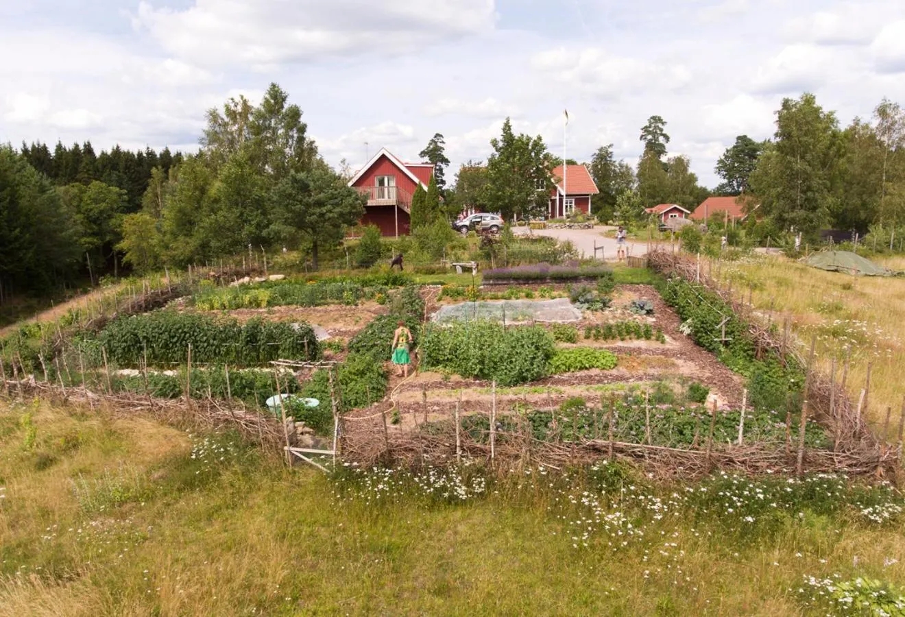 Natural landscape in Escape to PaulssonPaleo