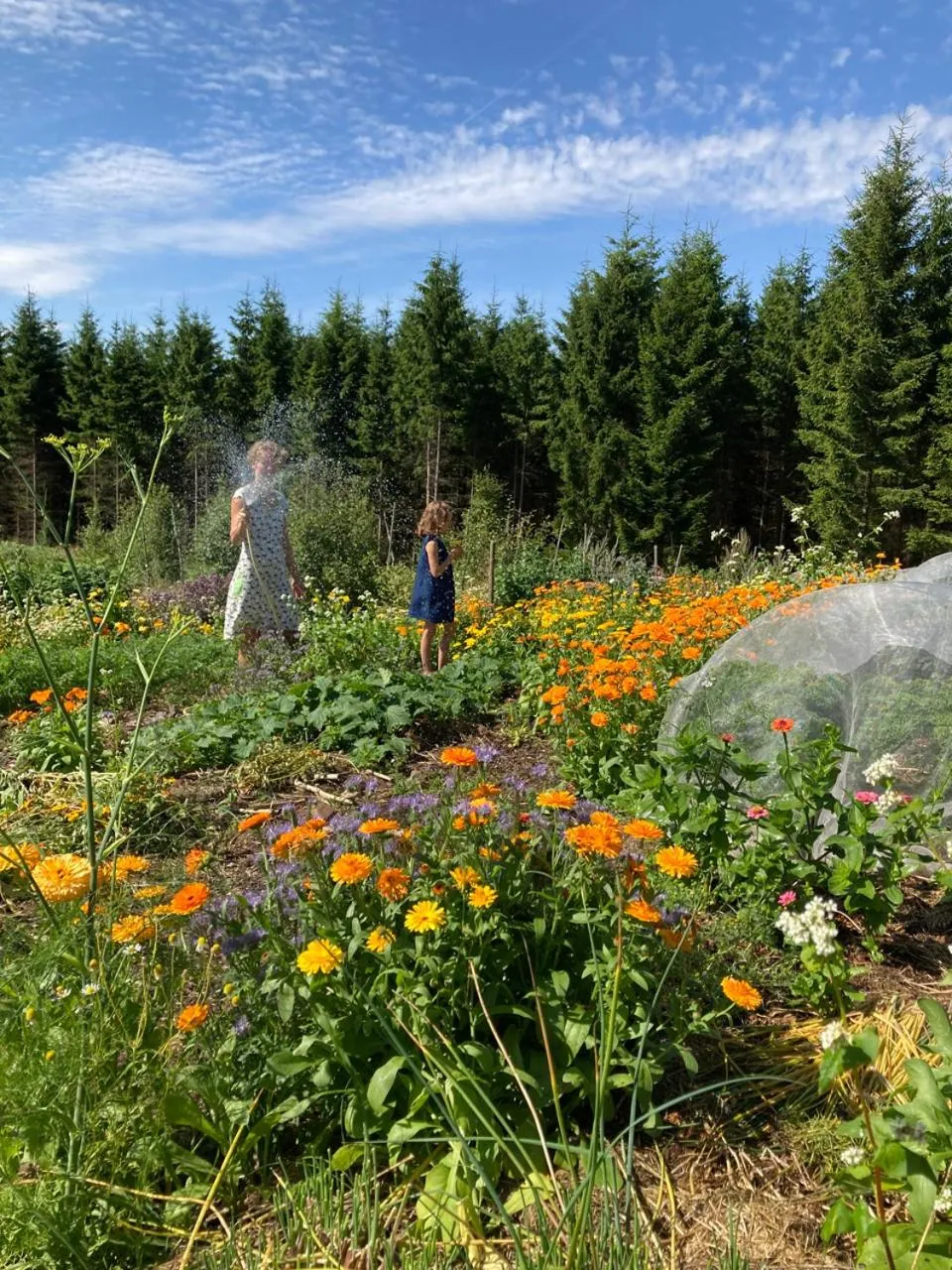 Escape to PaulssonPaleo