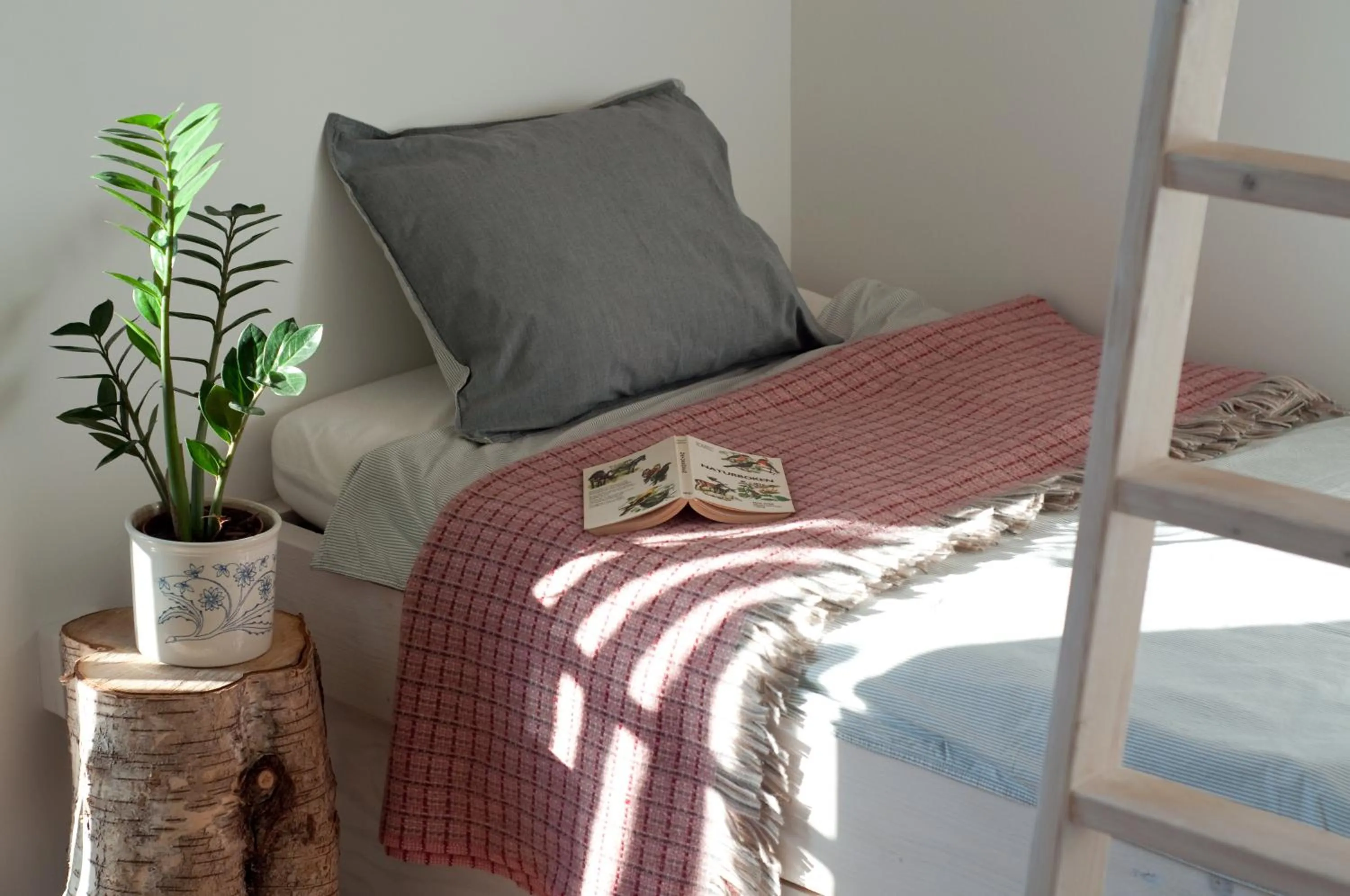 Property building, Bed in Escape to PaulssonPaleo