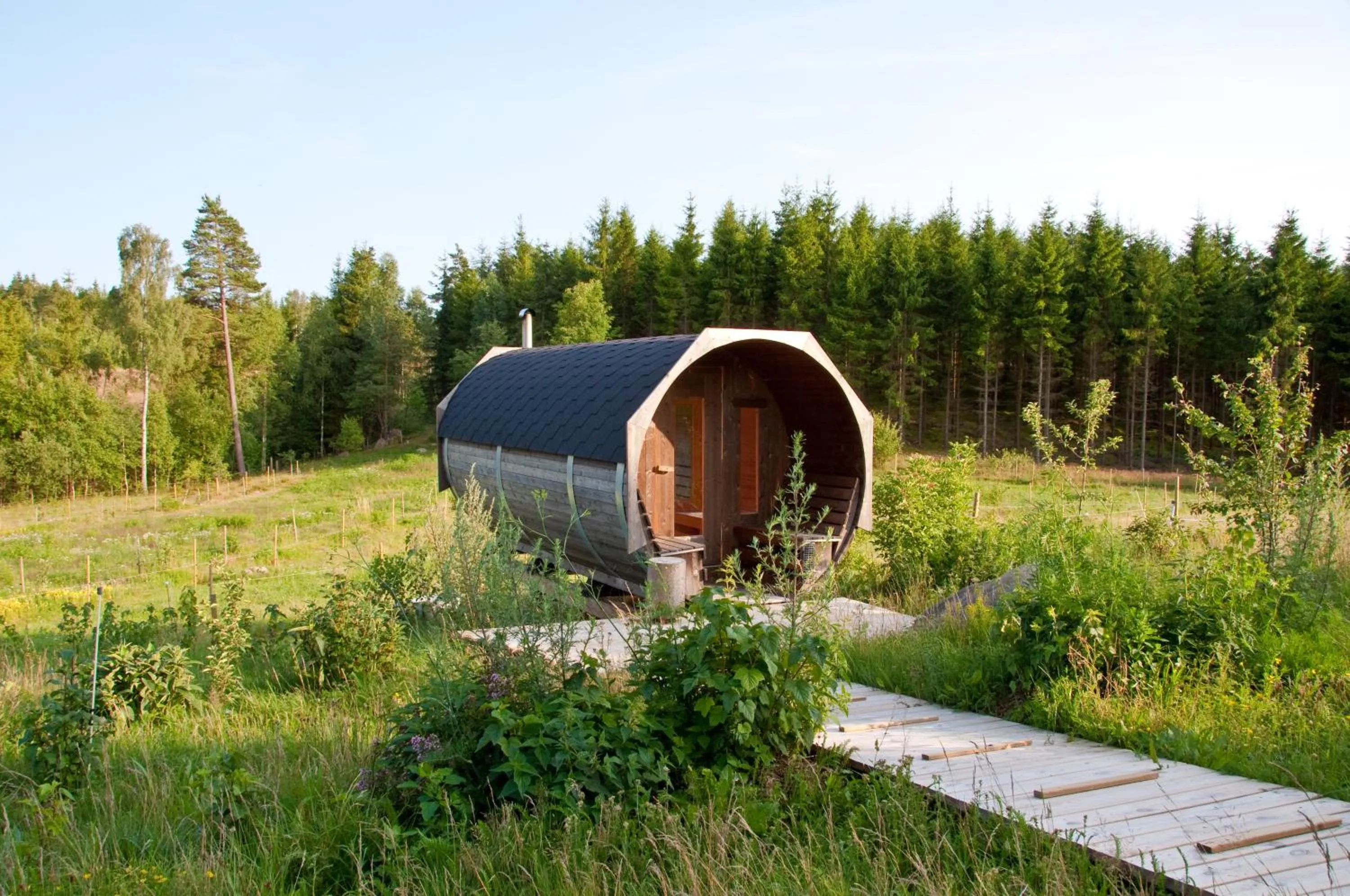 Day in Escape to PaulssonPaleo