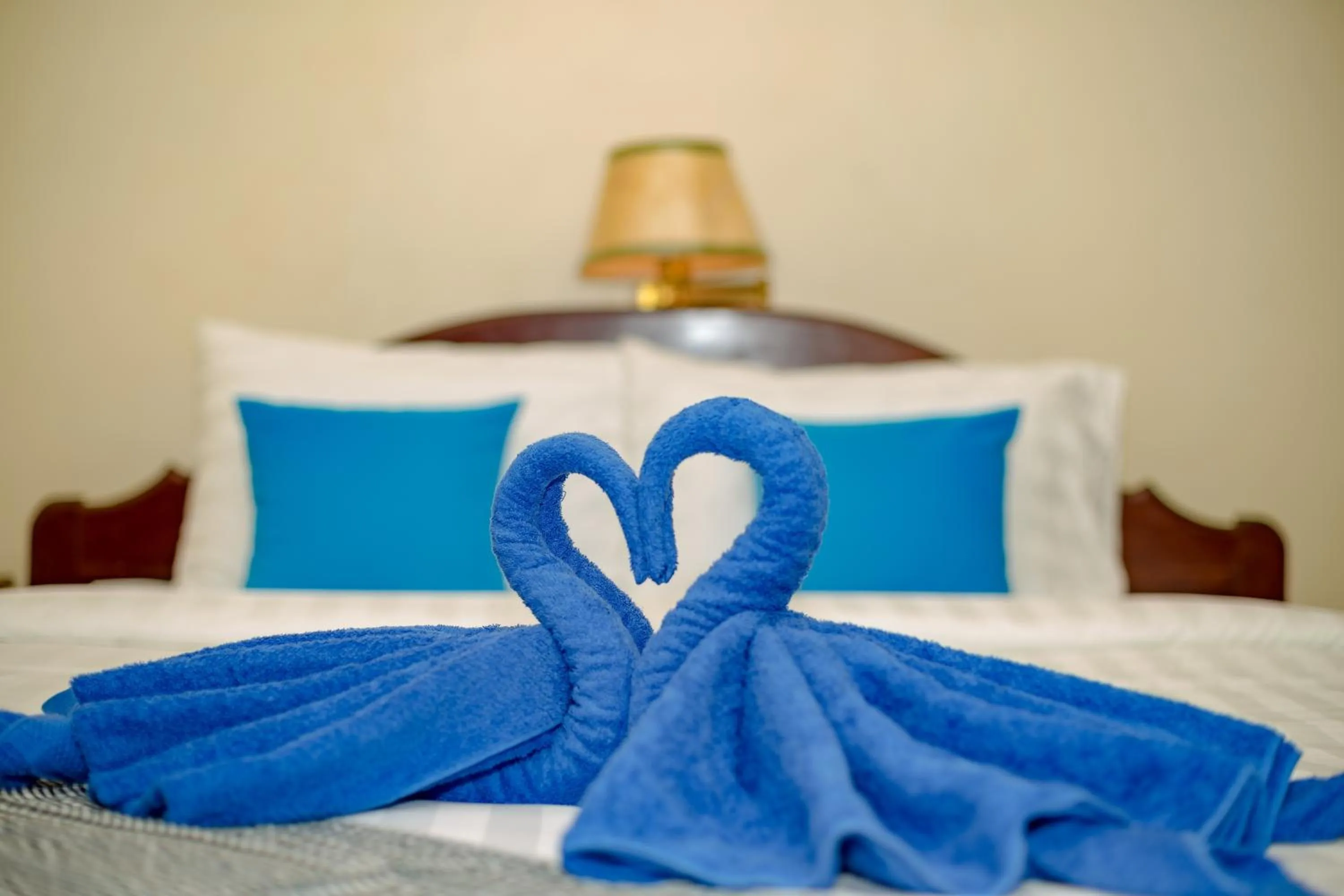 Photo of the whole room, Bed in The Siem Reap Chilled Backpacker