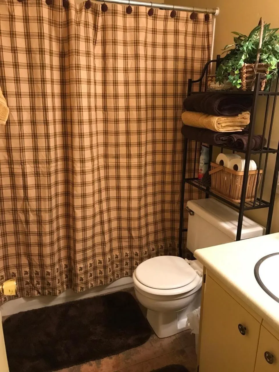 Shower in Adair Springs Cabin