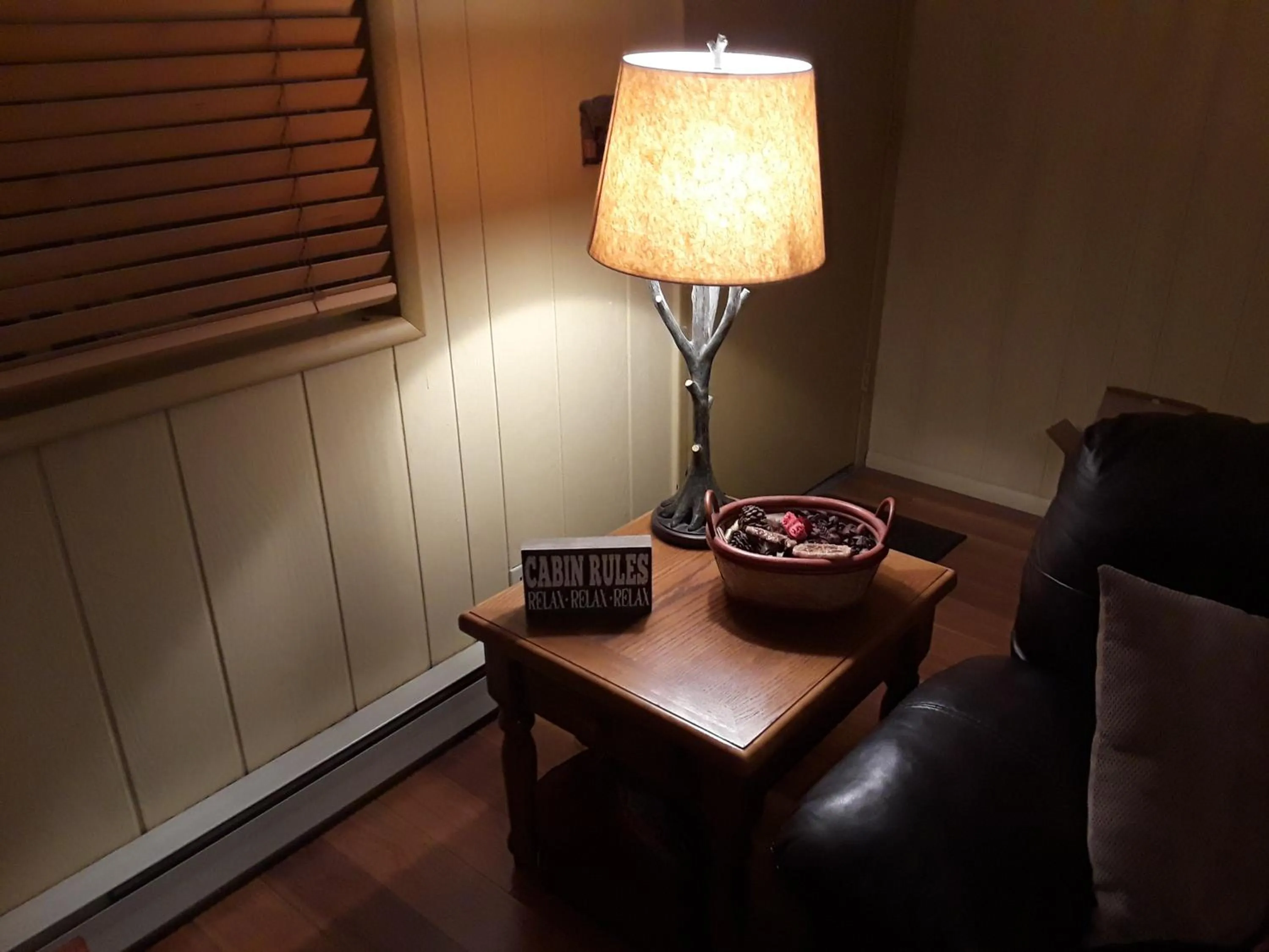Living room in Adair Springs Cabin