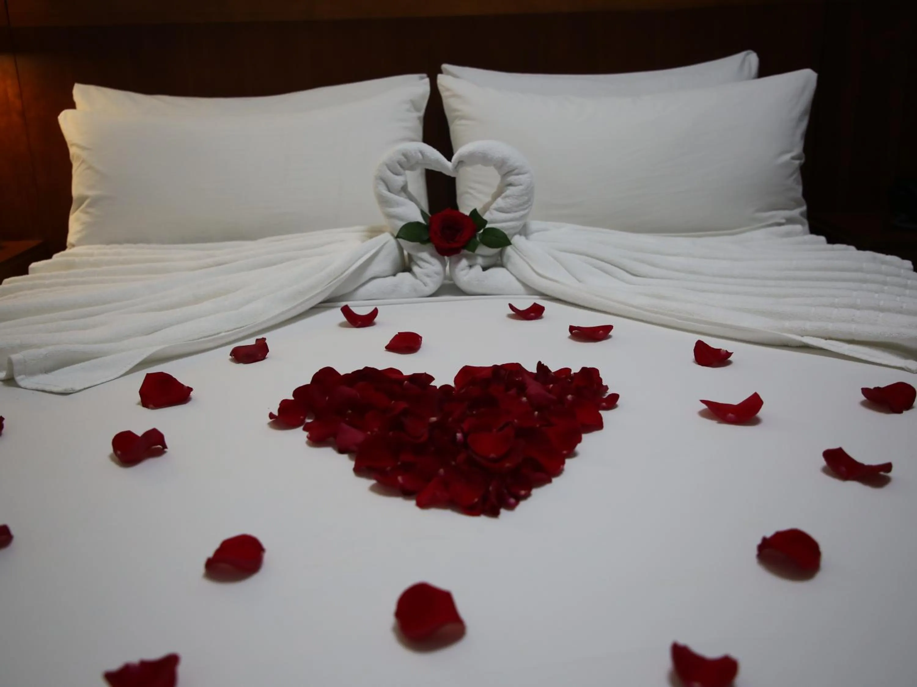 Bed in Hotel Casa Miller