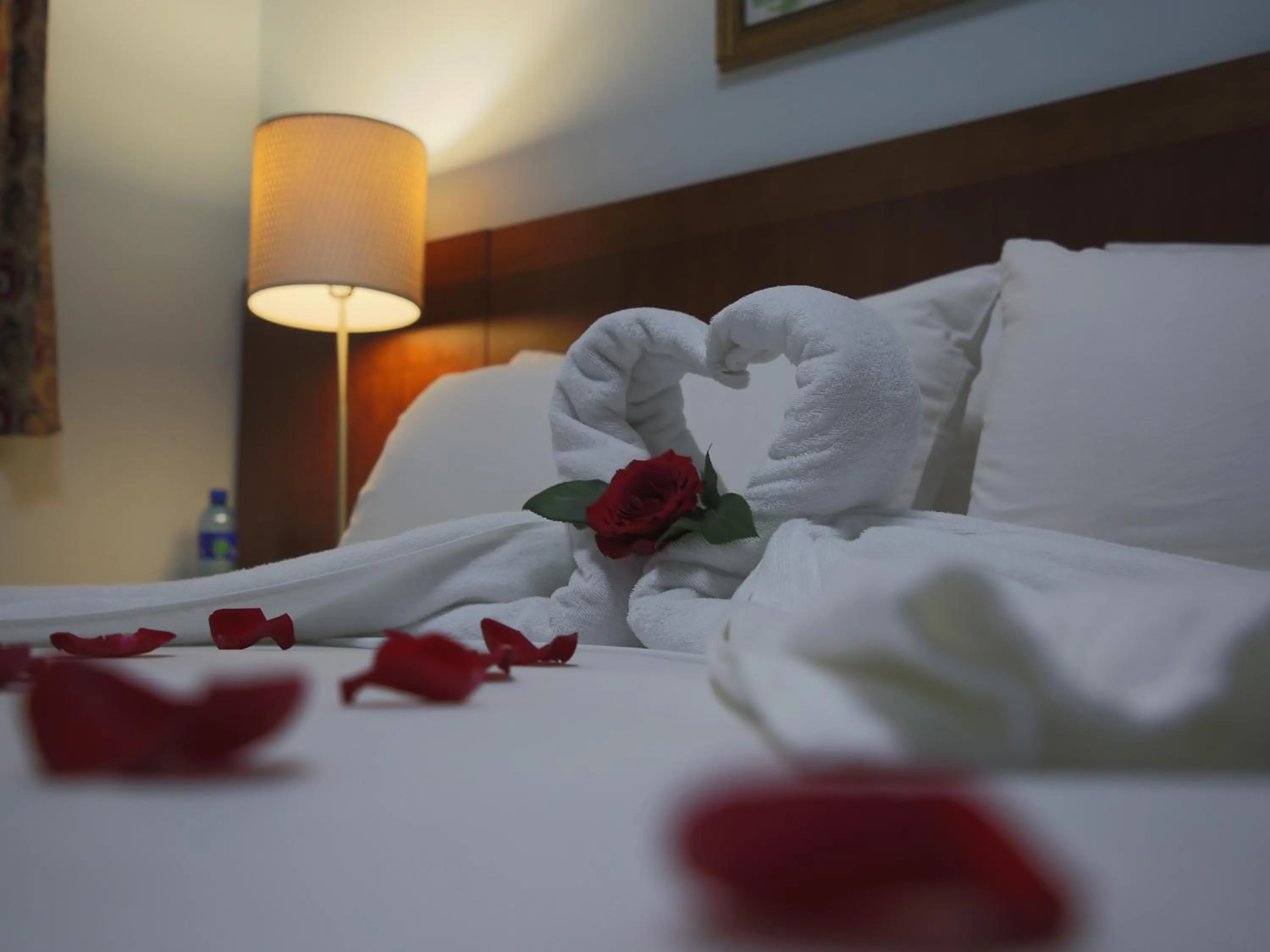 Bed in Hotel Casa Miller