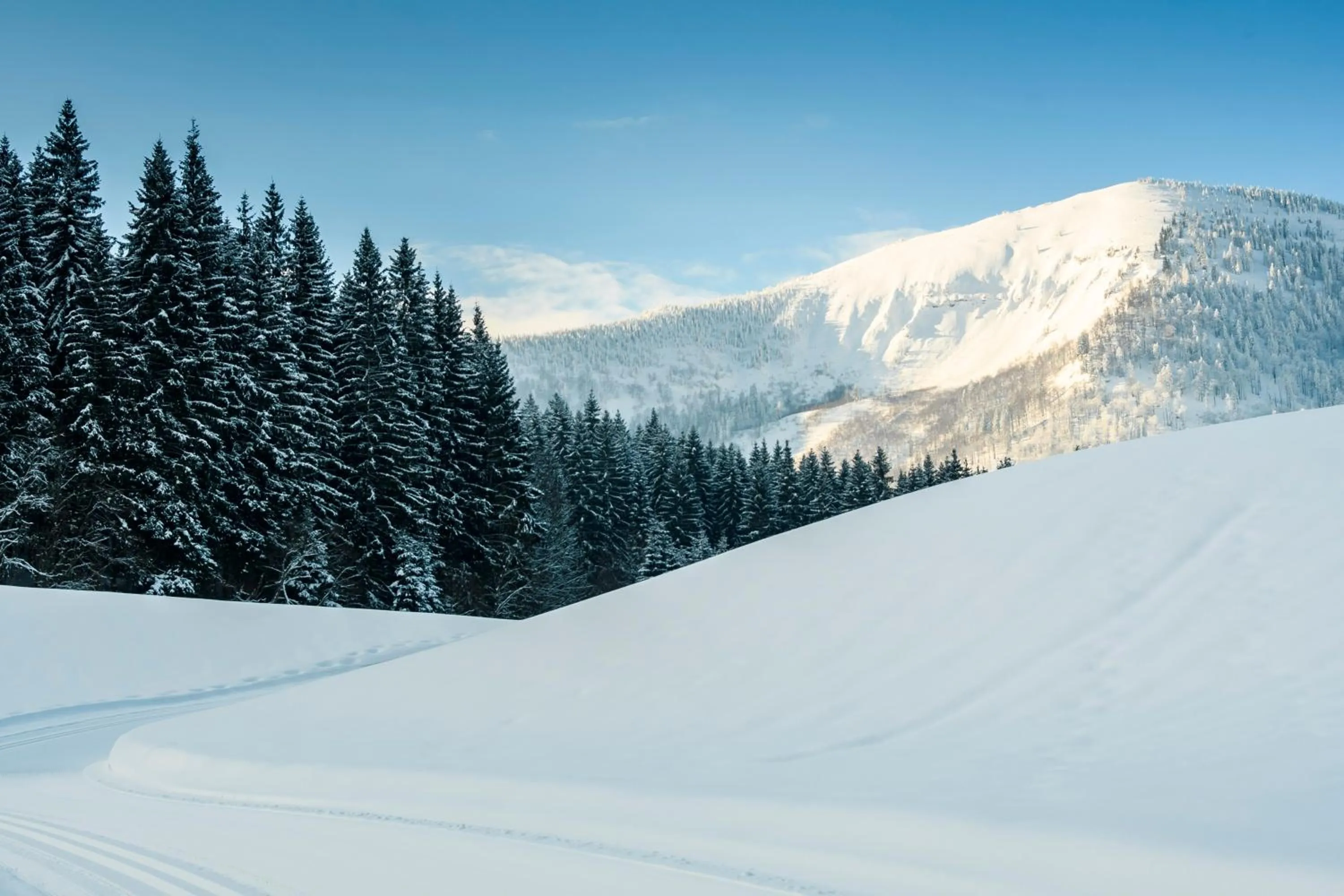 Mountain view in BS-Ötscher Hotel