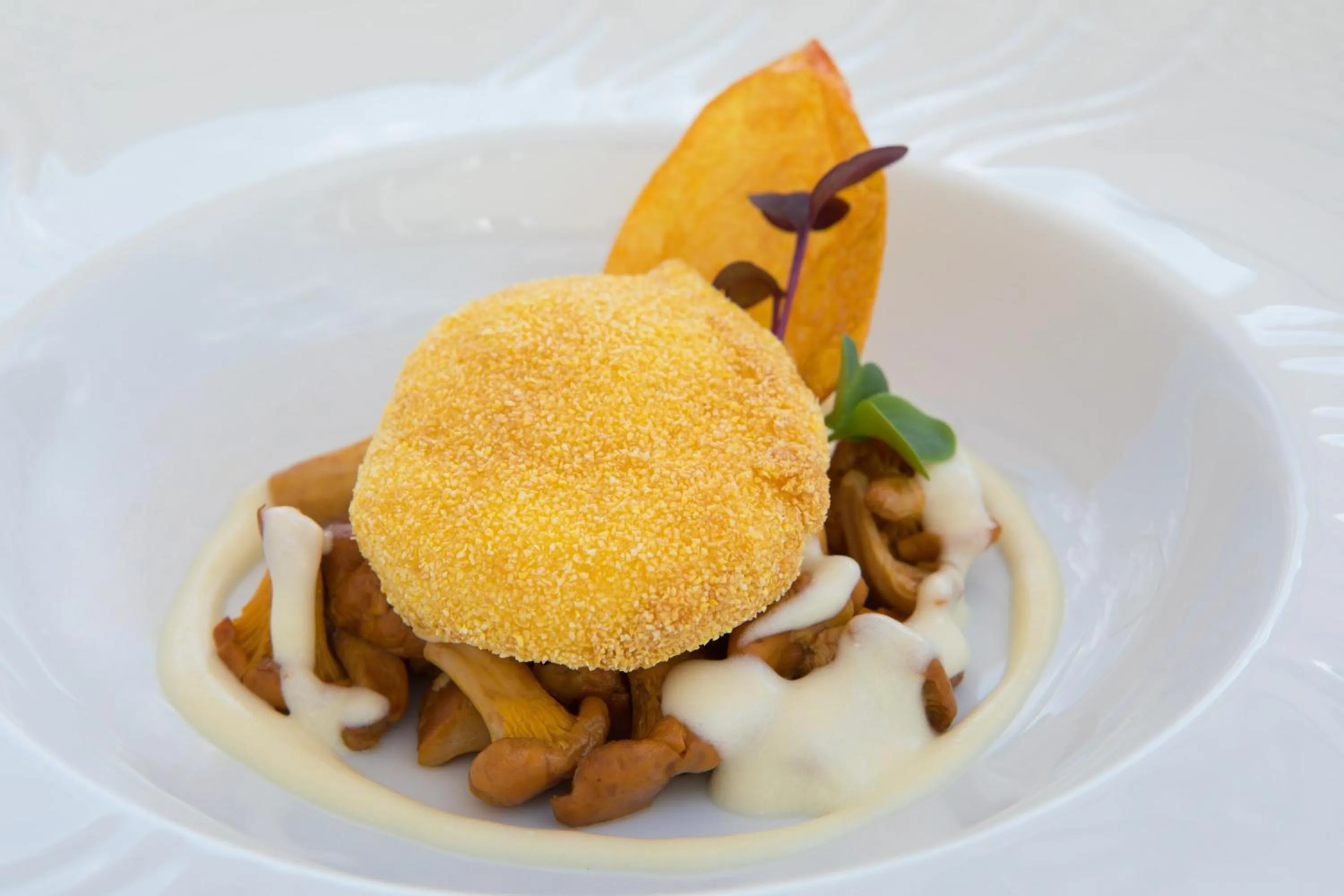 Food close-up in Colonìa Resort