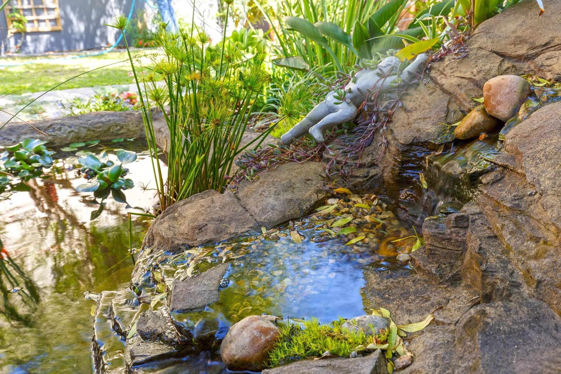 Garden in Le Mahi Guest House