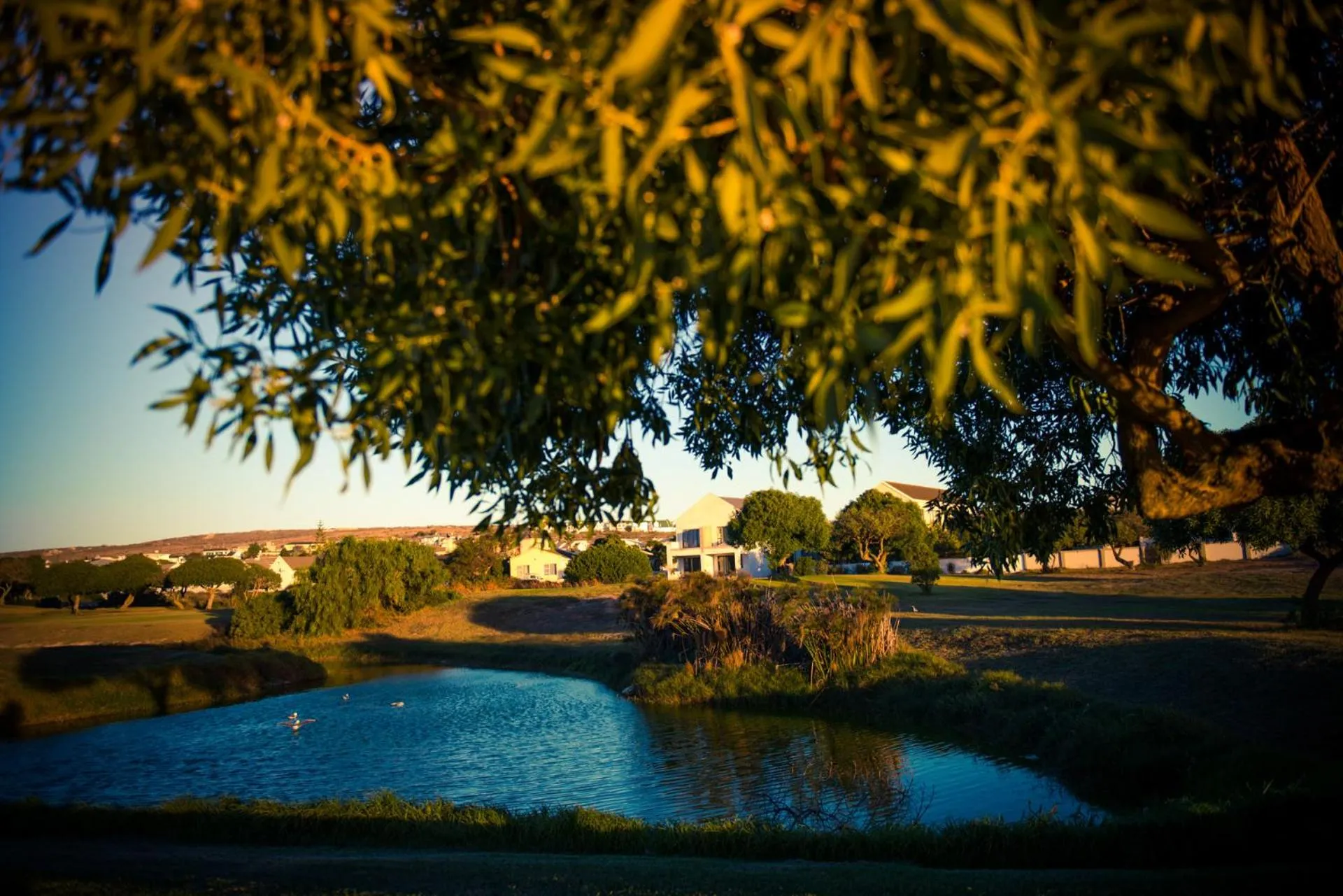 Natural landscape in Le Mahi Guest House
