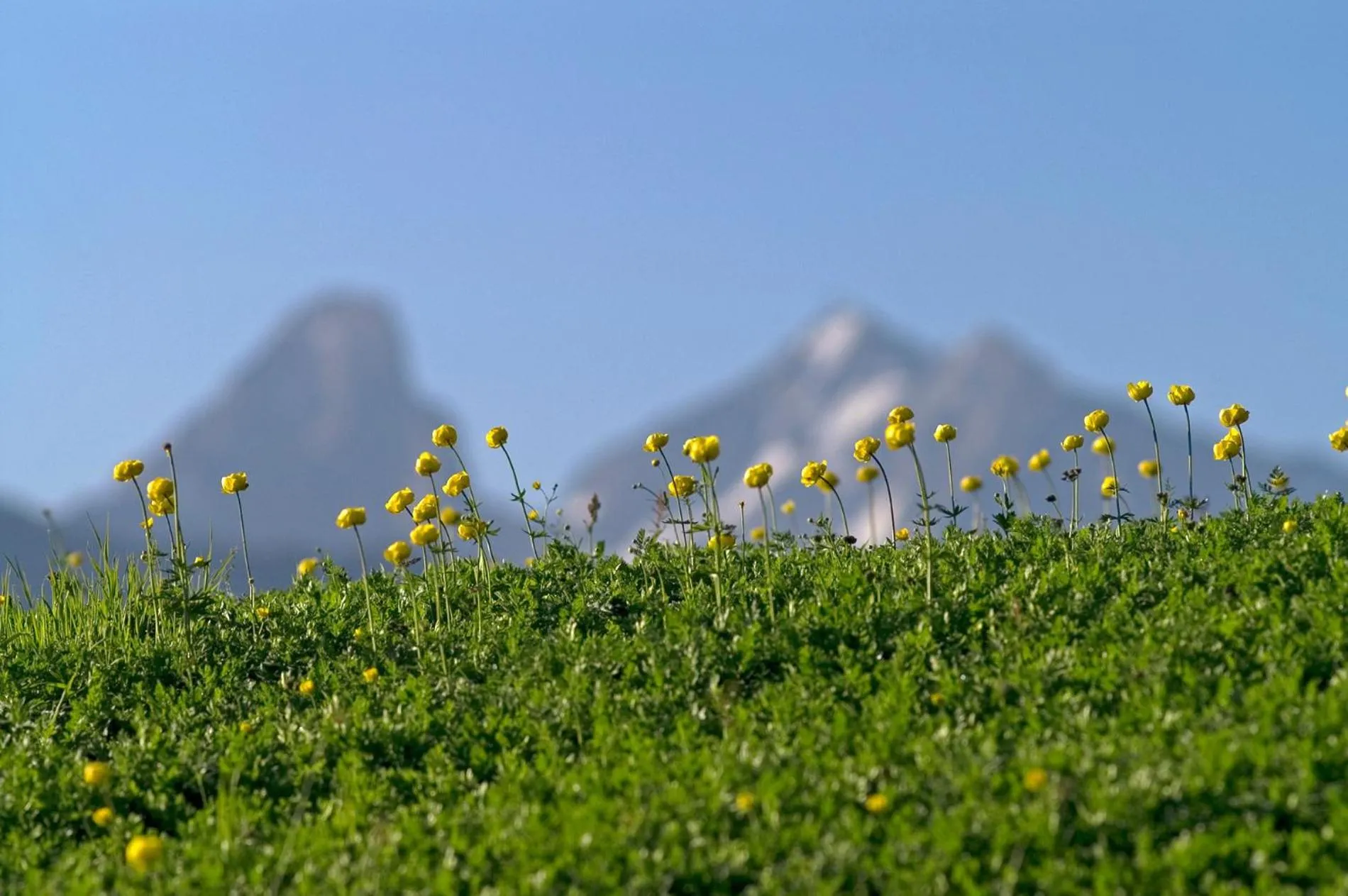Area and facilities in Mats Lech Alpenquartier