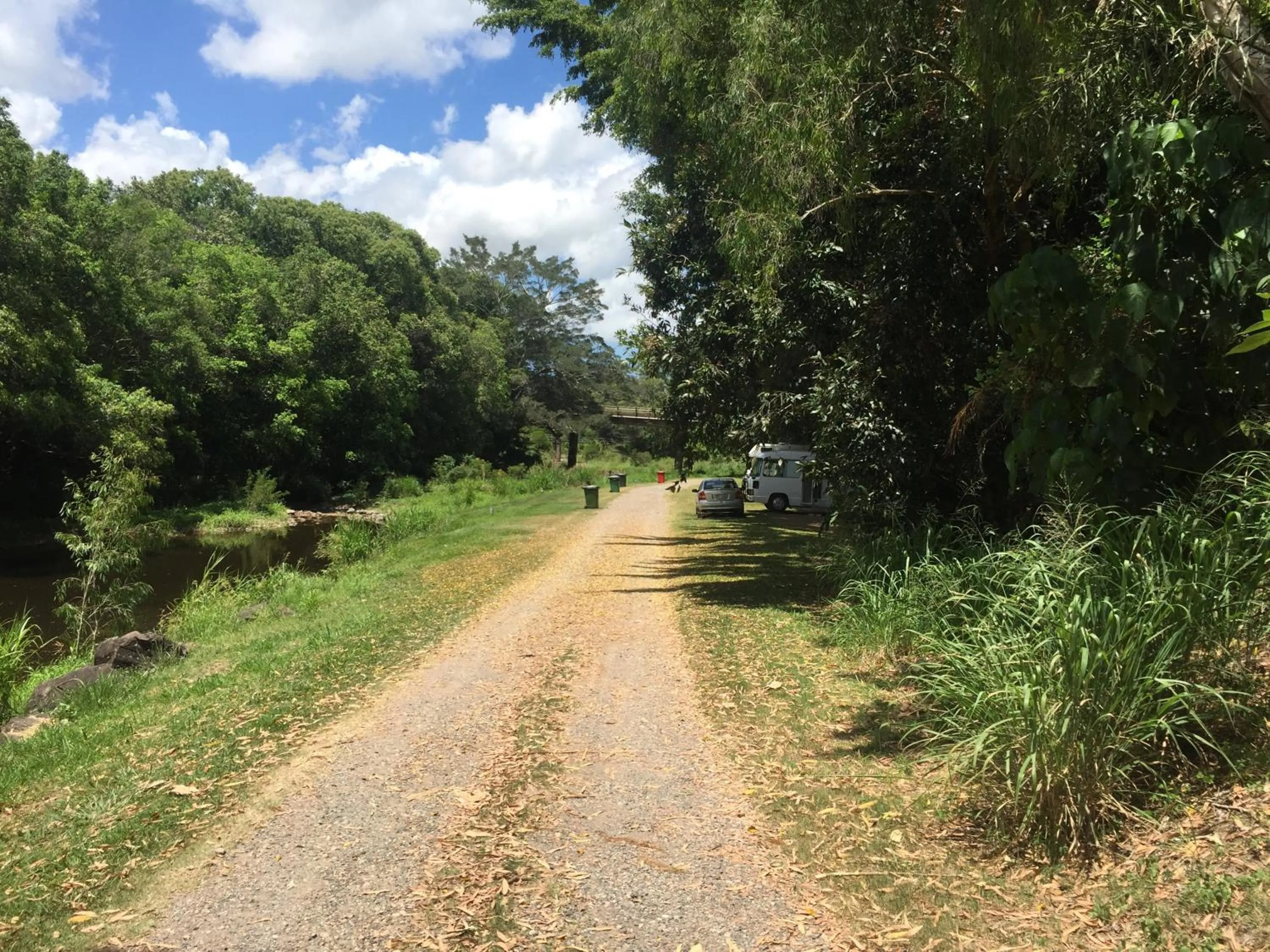 Natural landscape in Yandina Caravan Park