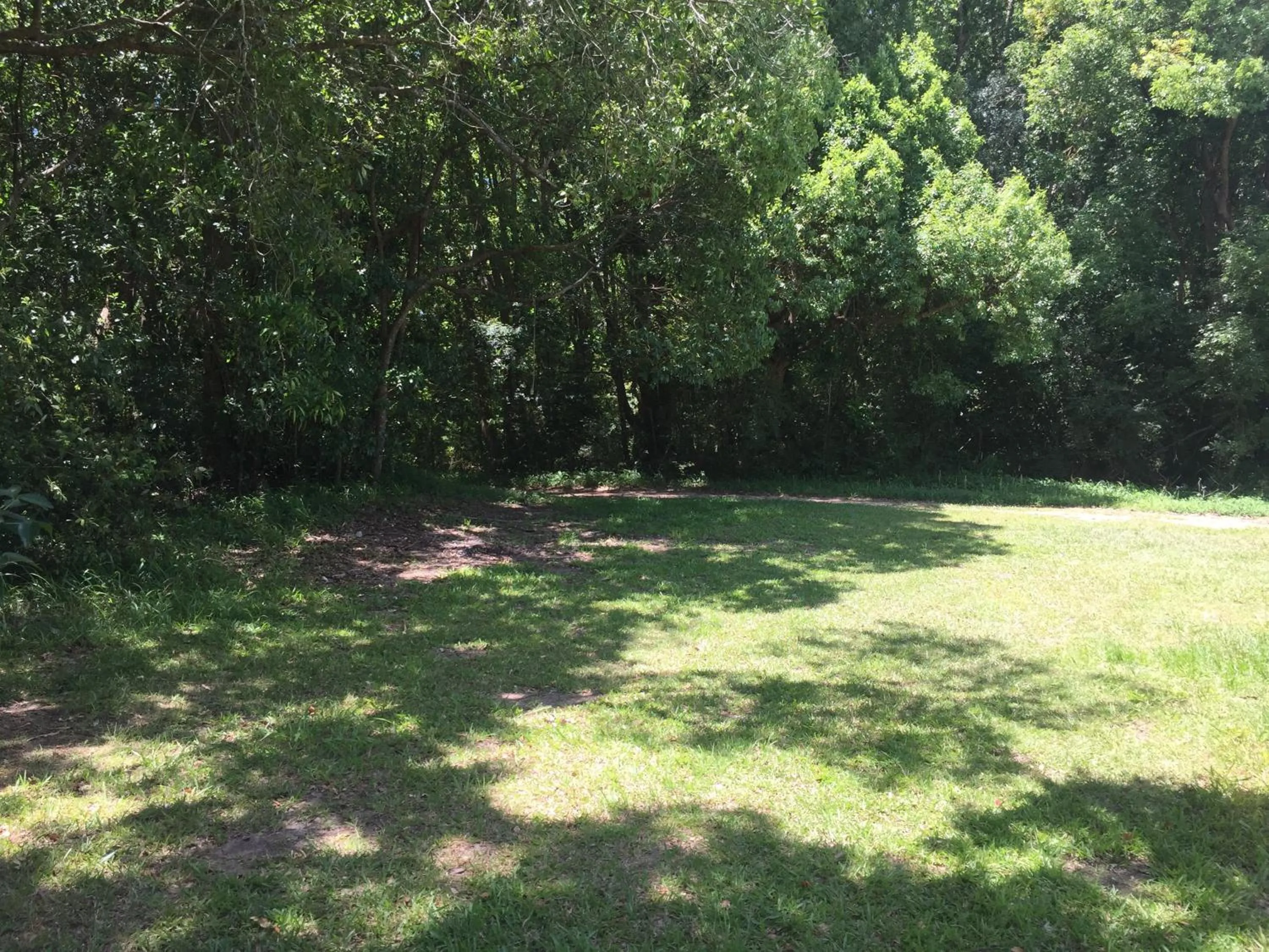 Natural landscape in Yandina Caravan Park