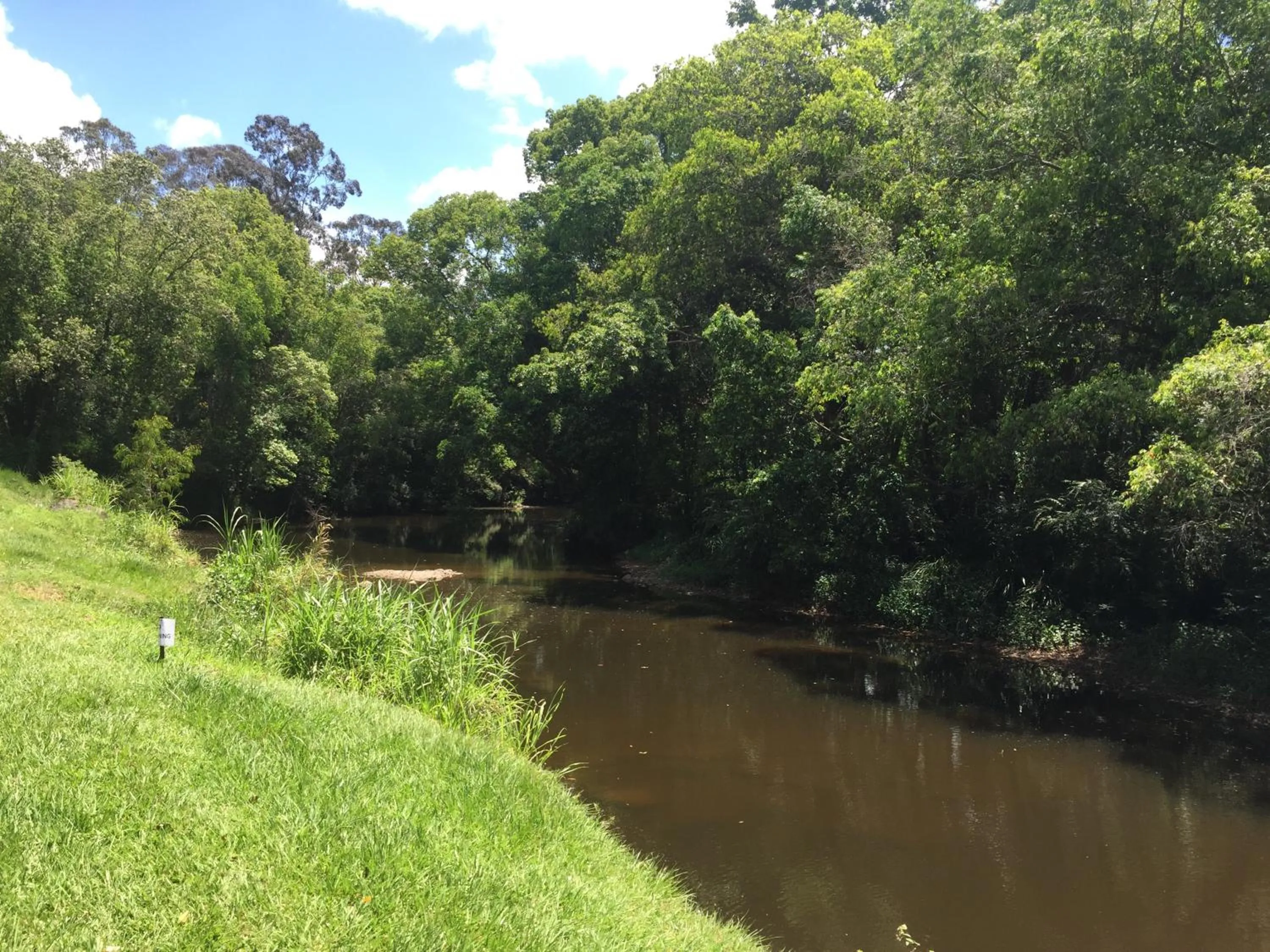 Natural landscape in Yandina Caravan Park