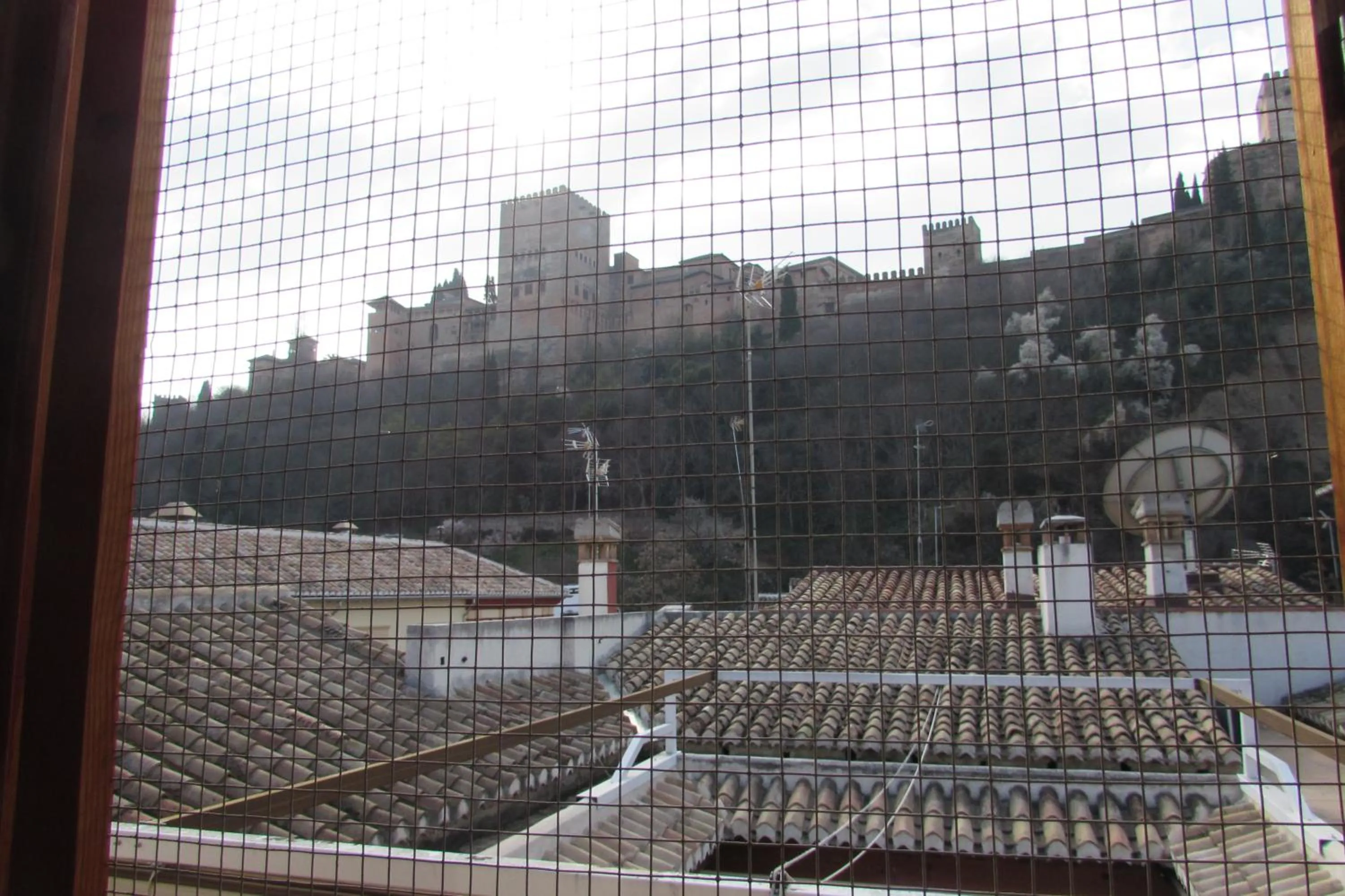 Balcony/Terrace in White Nest Hostel