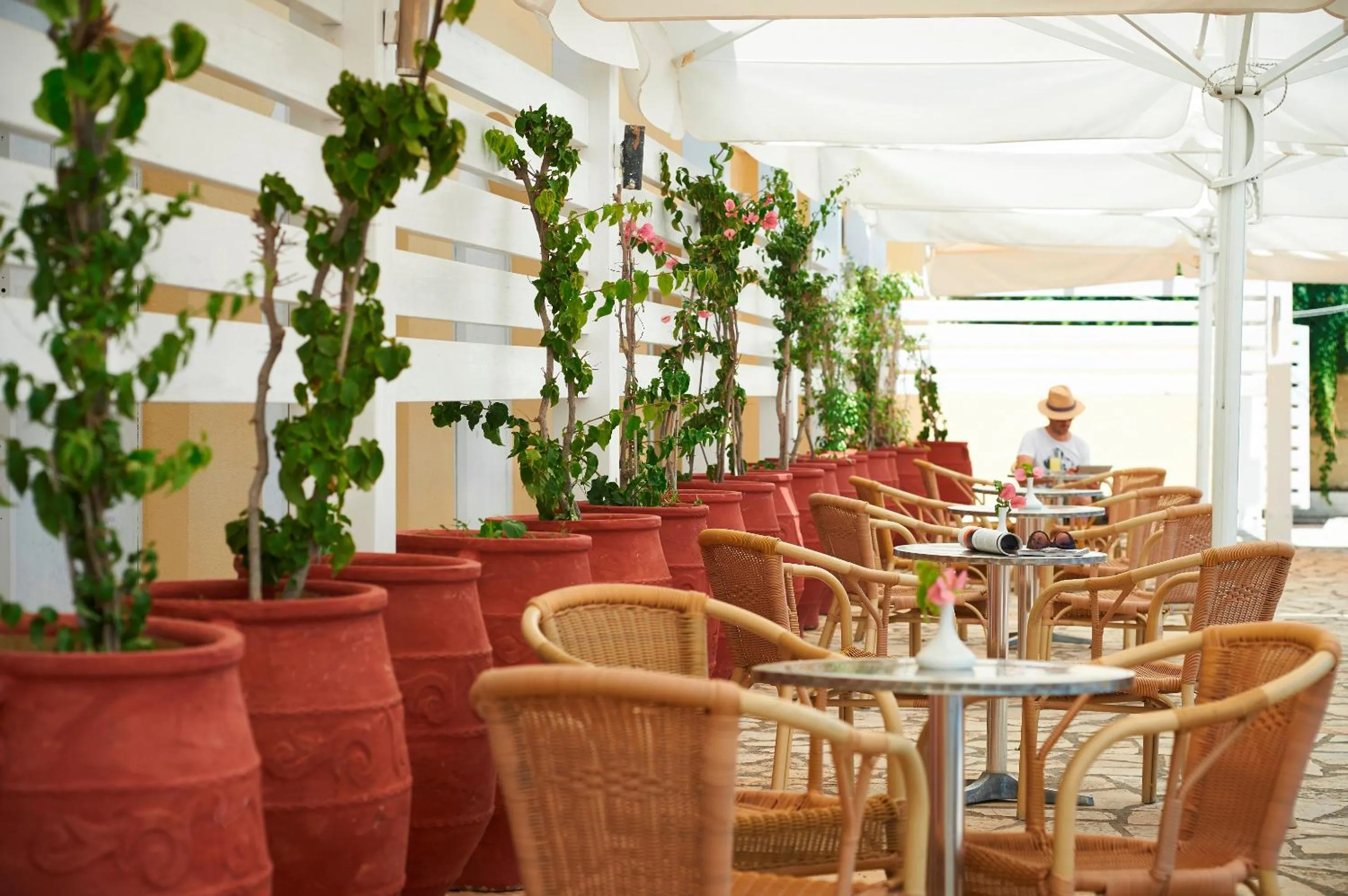 Restaurant/places to eat in Louis Ionian Sun