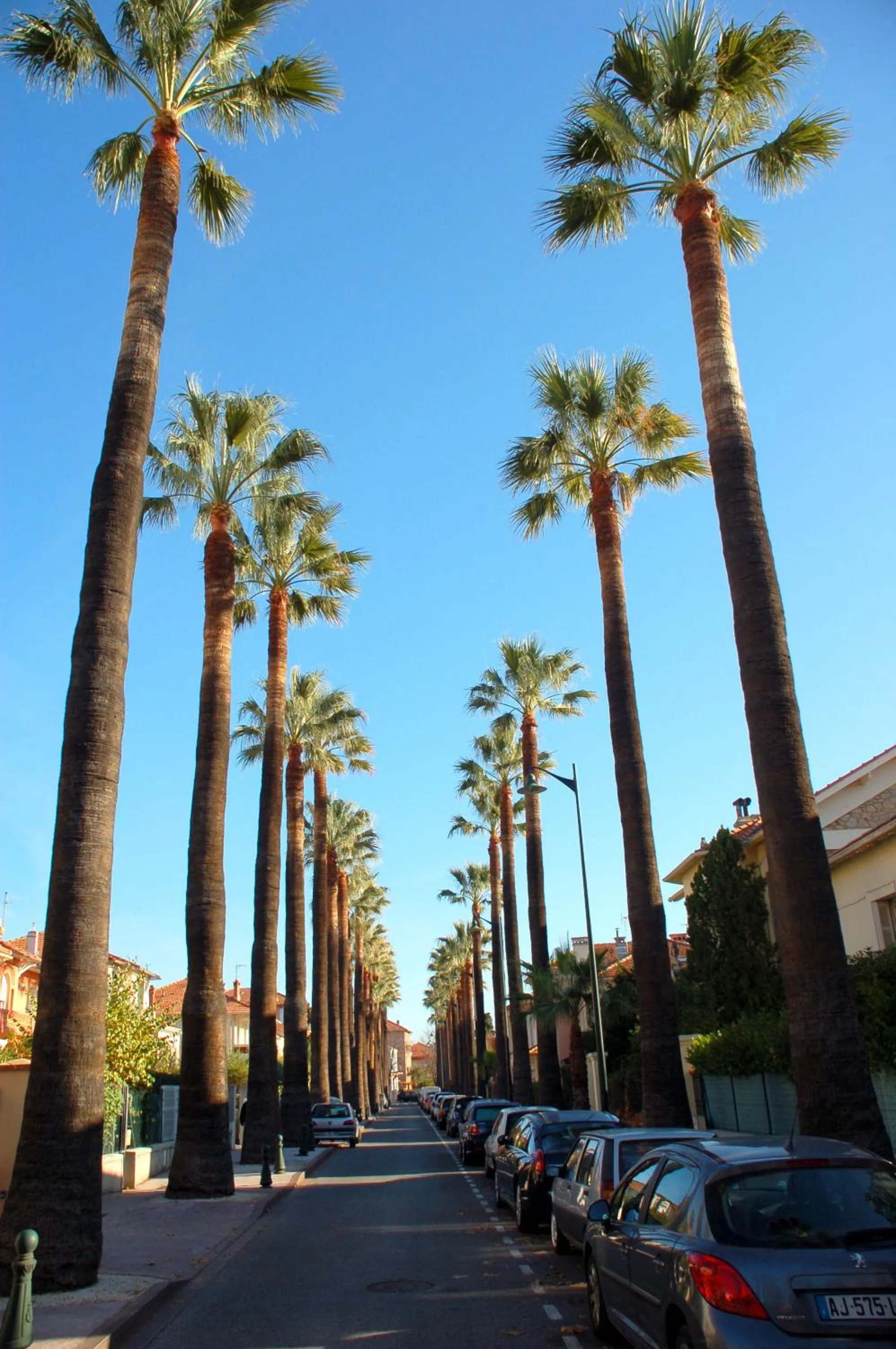 Nearby landmark in Ibis Budget Hyères