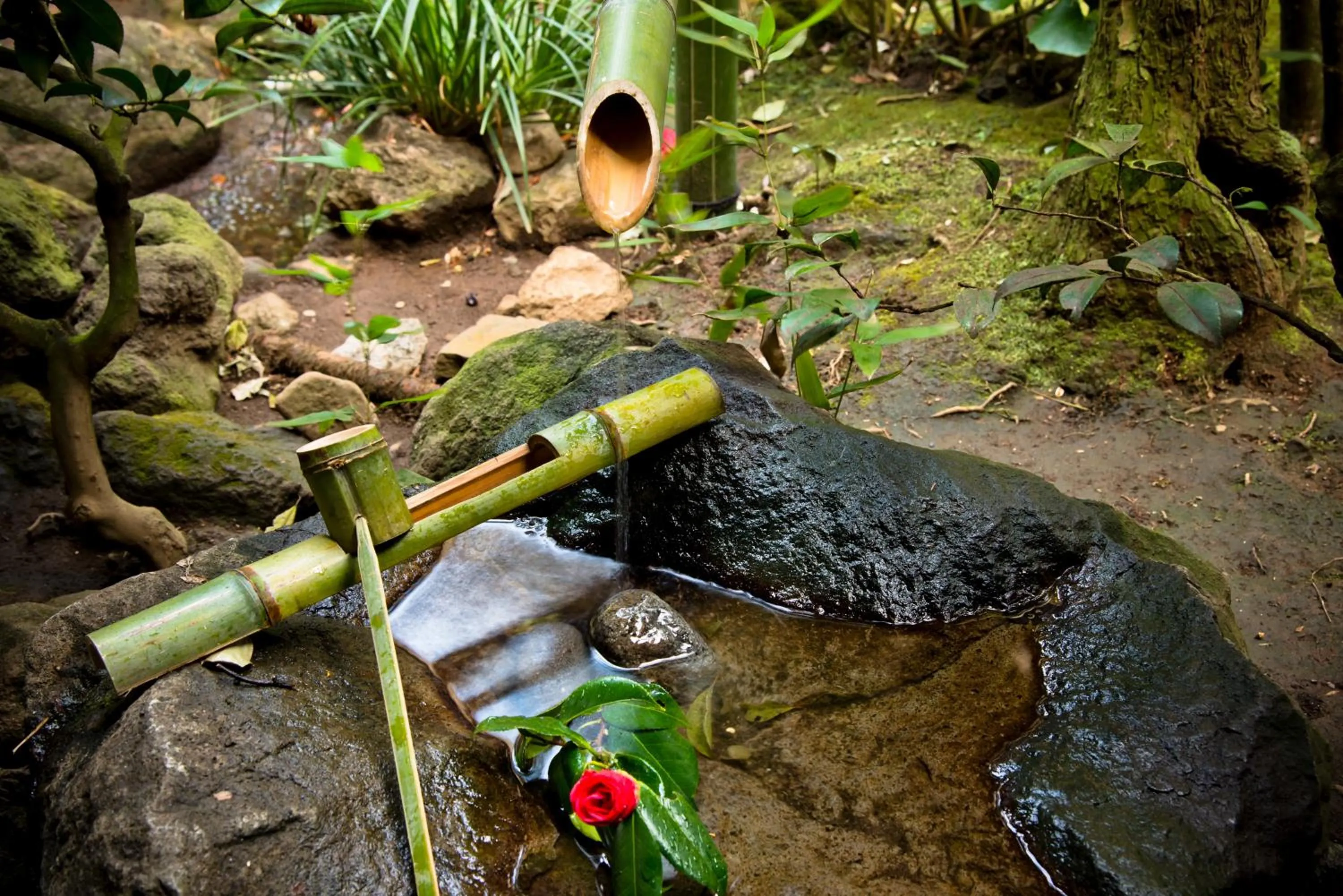 Property building in Yamagaso