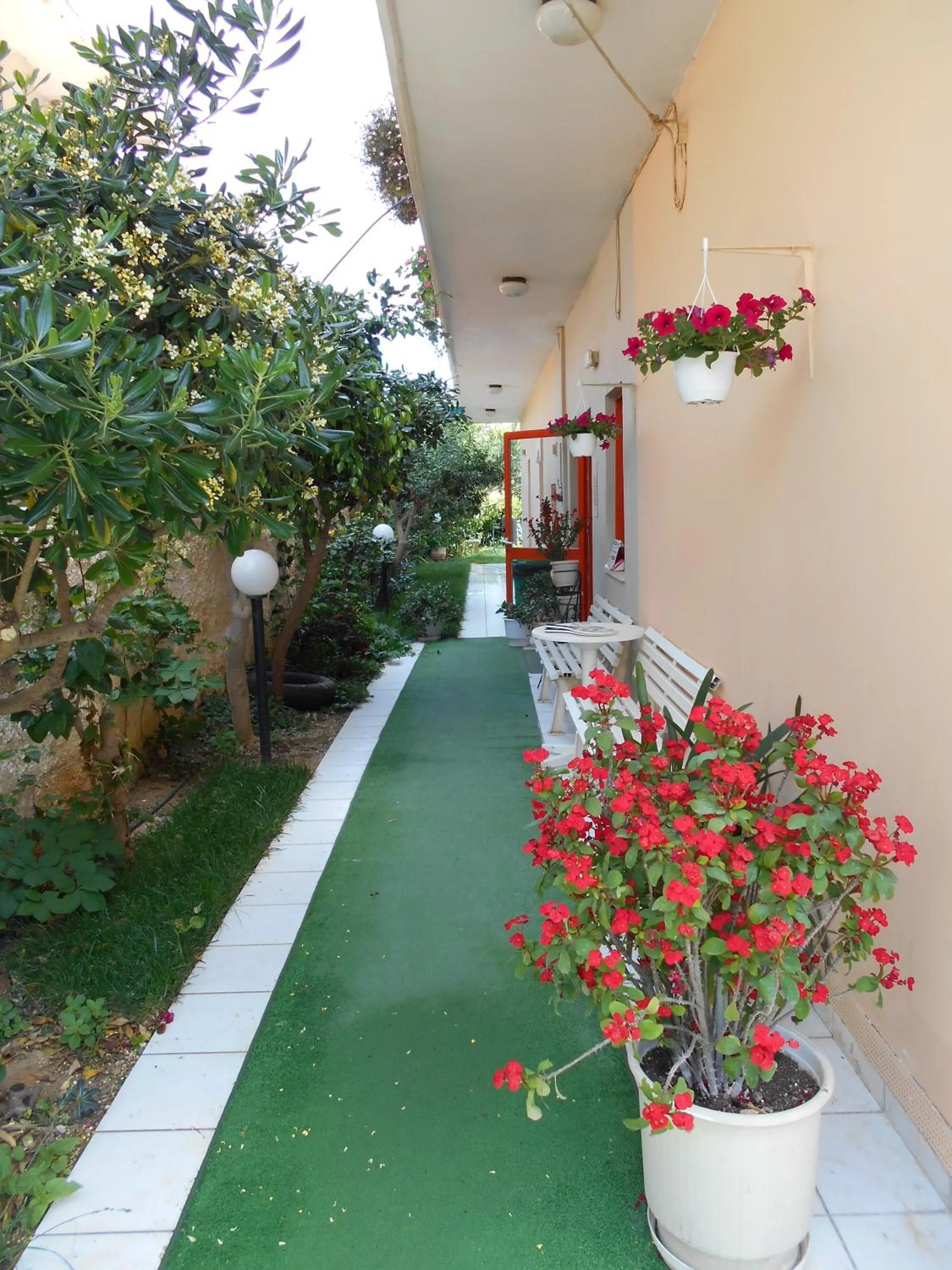 Garden in Ilona Apartments Chania