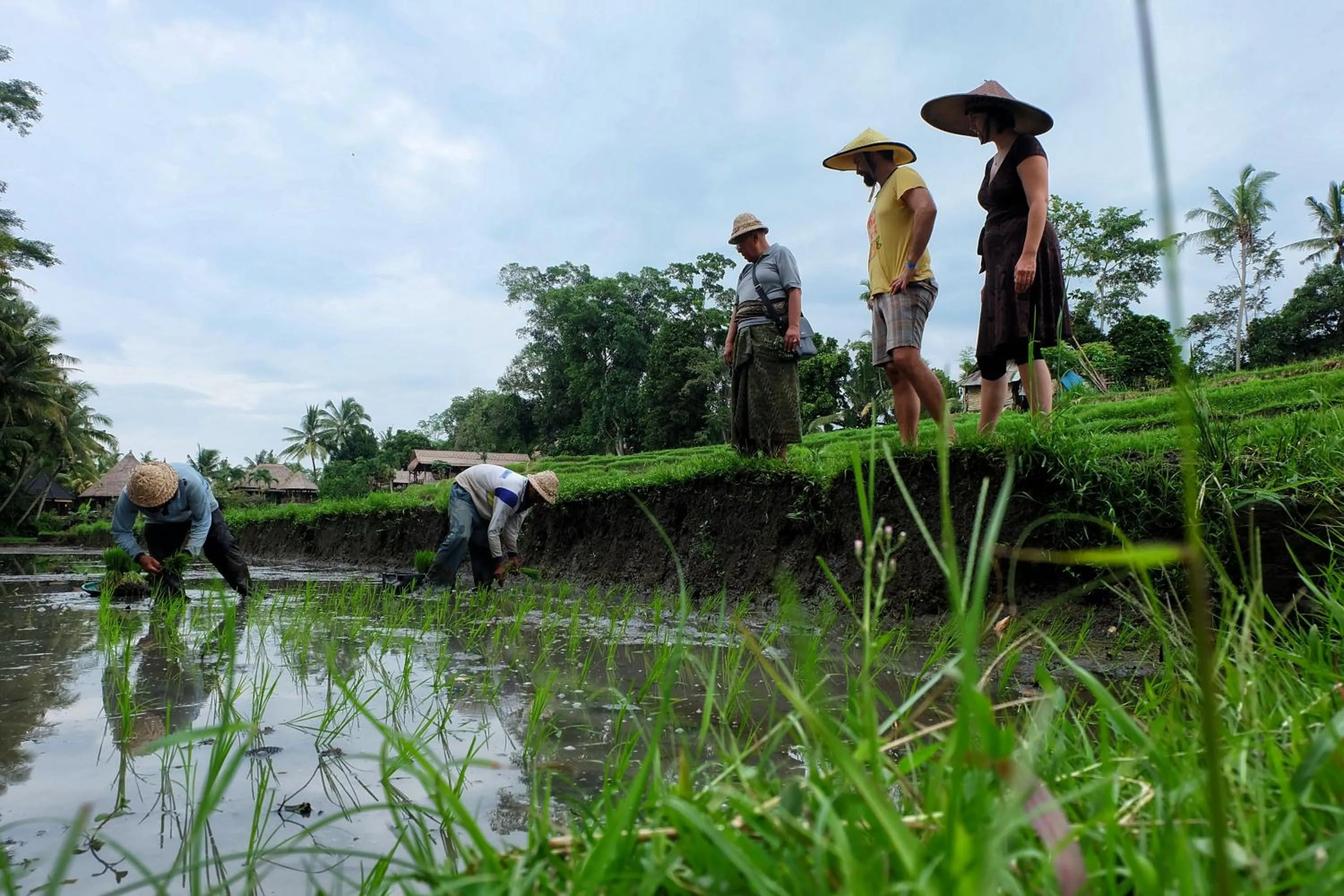Activities in Puri Taman Sari Resort