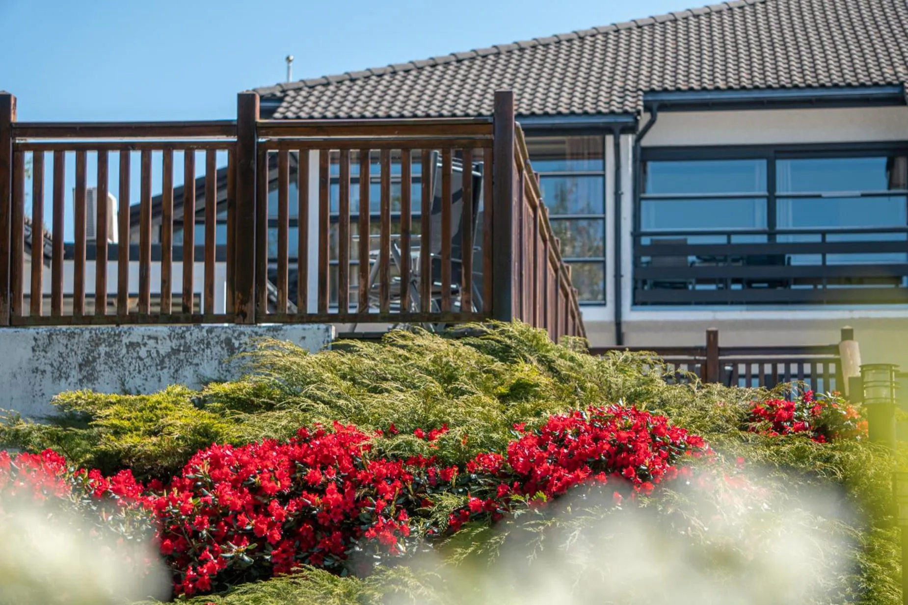 Garden view in Fitjar Fjordhotell