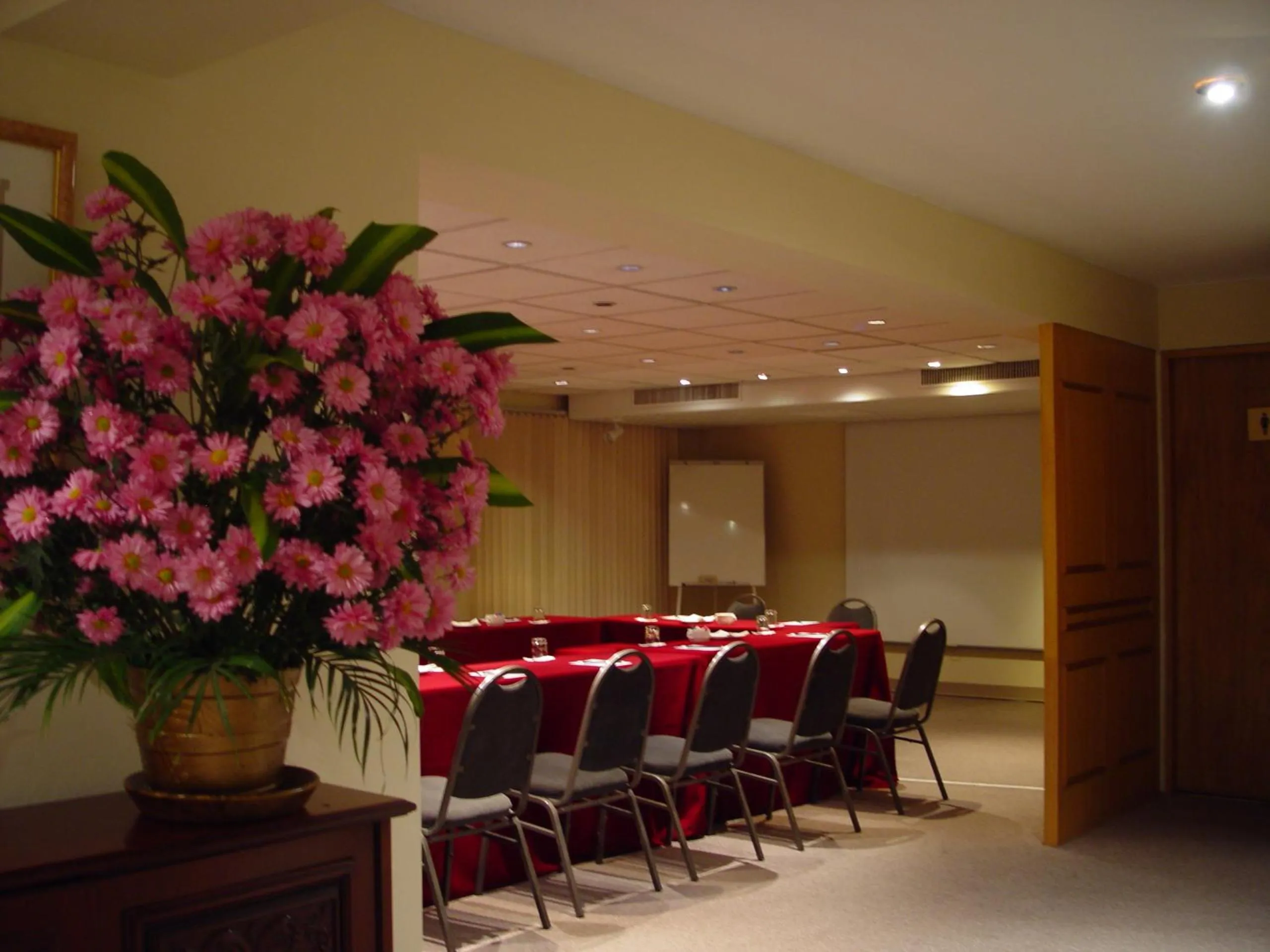 Business facilities in Suites del Bosque Hotel
