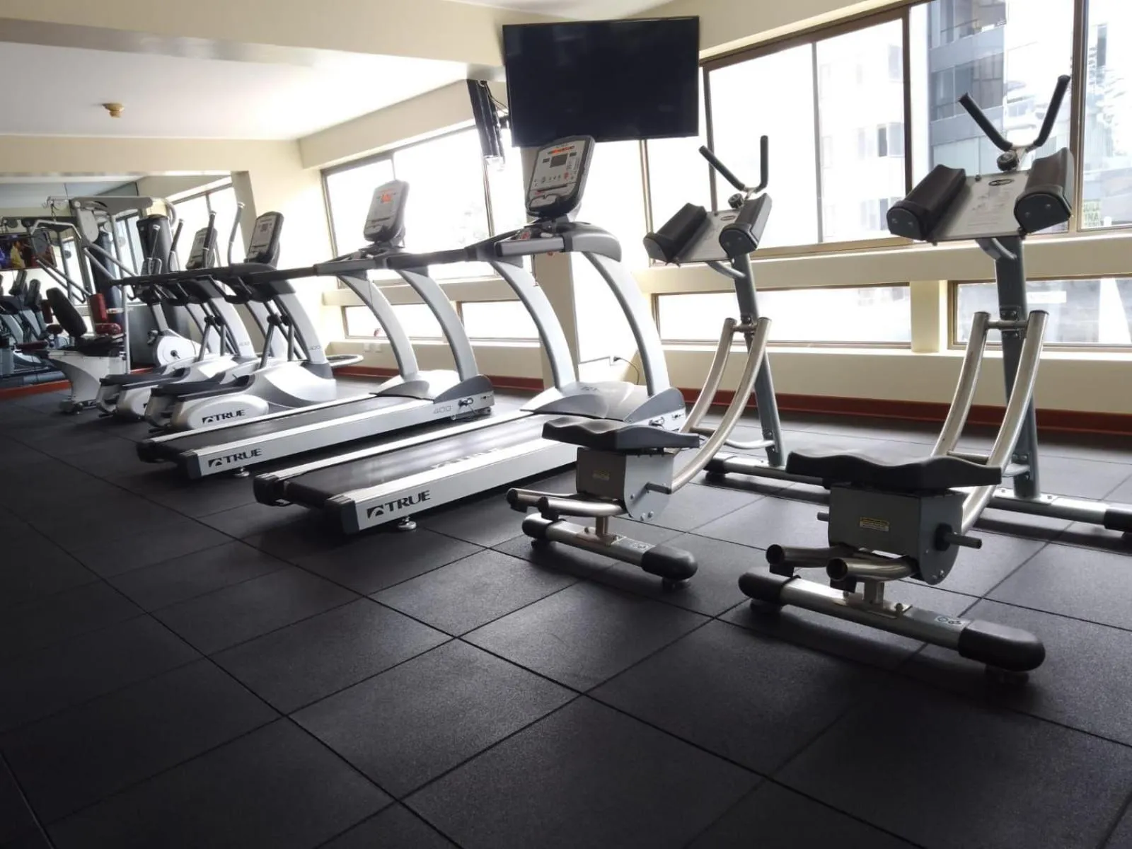 Fitness centre/facilities in Suites del Bosque Hotel