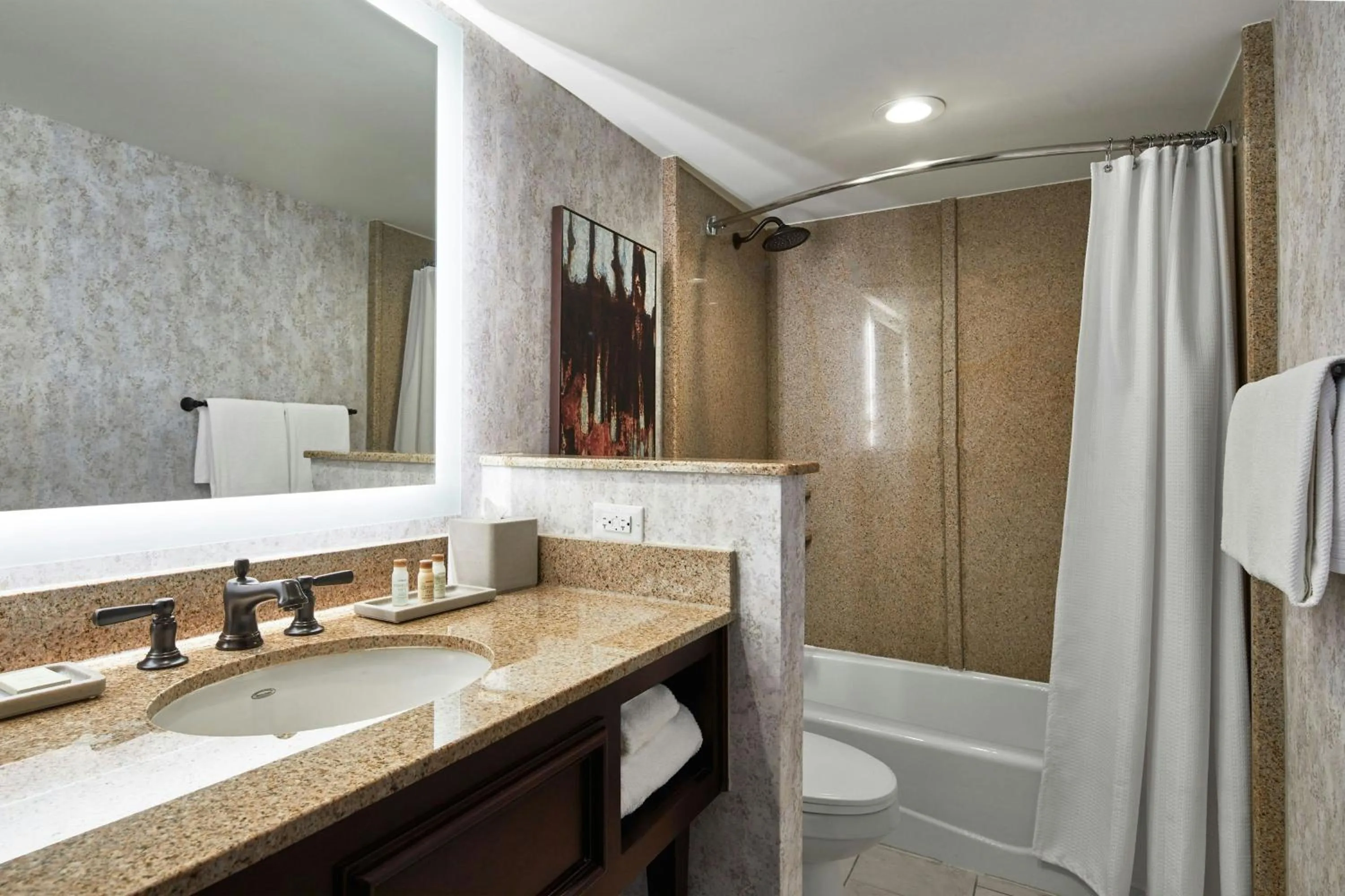 Bathroom in Renaissance Mobile Riverview Plaza Hotel