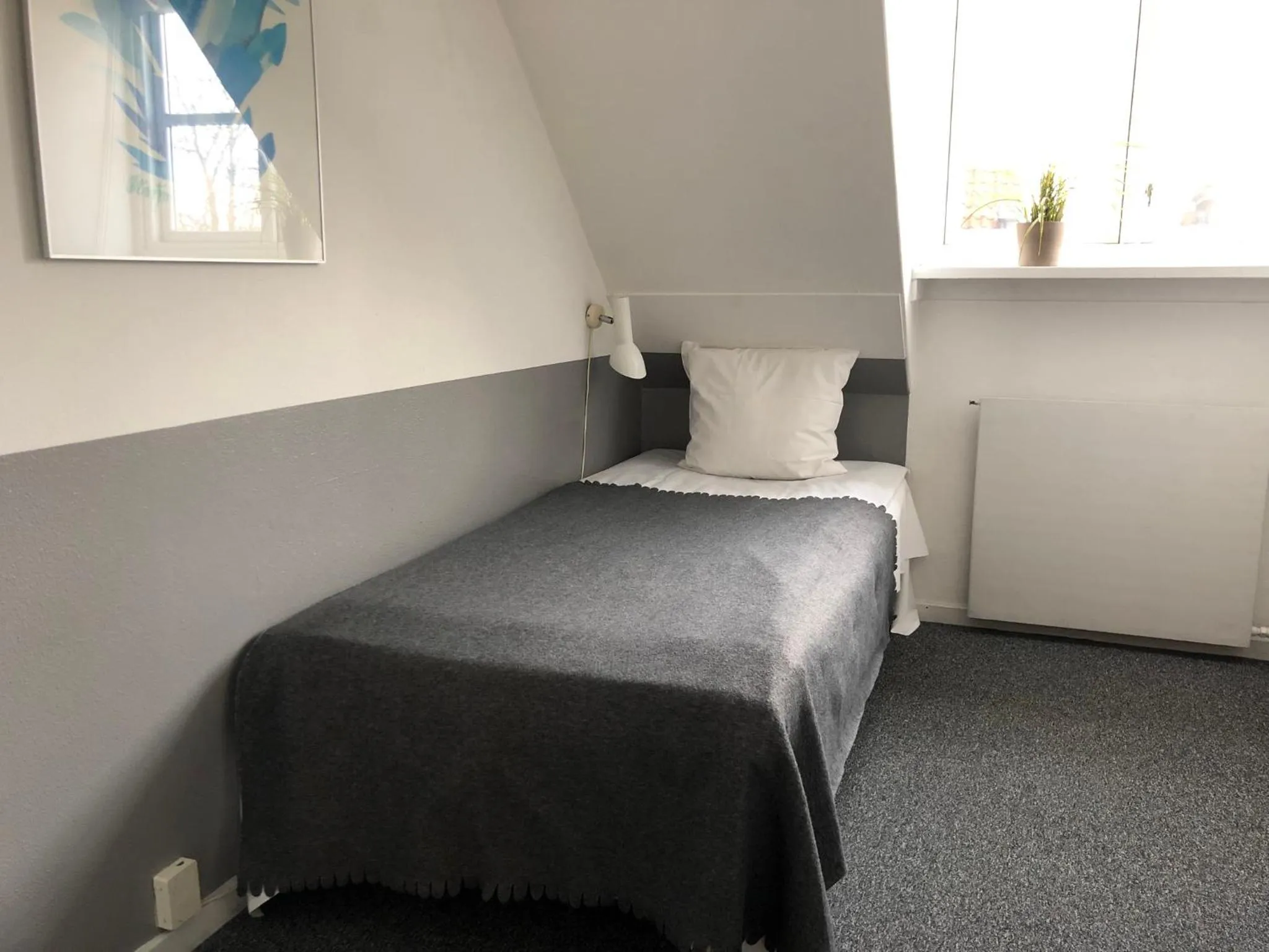 Photo of the whole room, Bed in Tune Kursuscenter