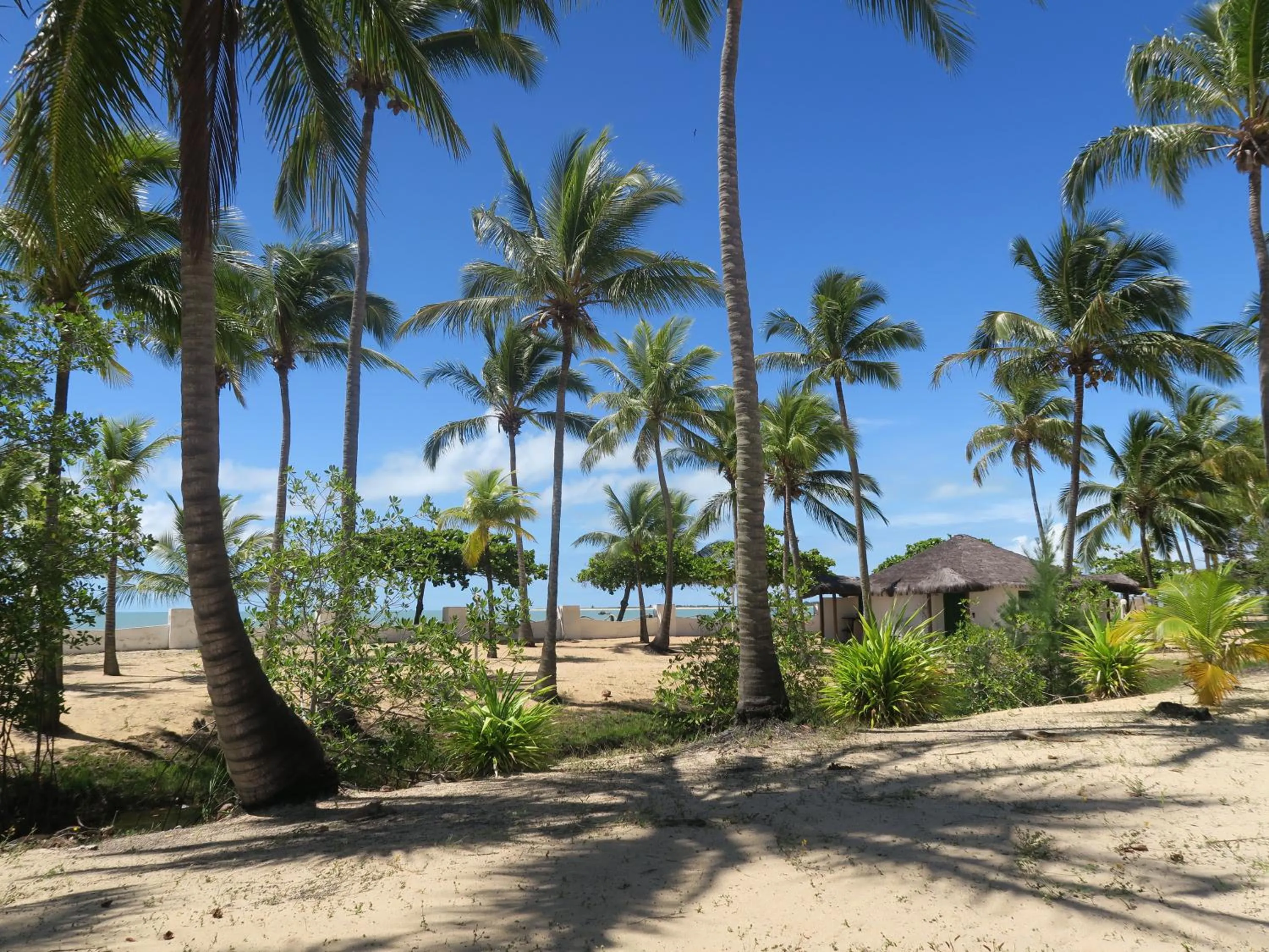 Garden in Hotel Marina Porto Abrolhos
