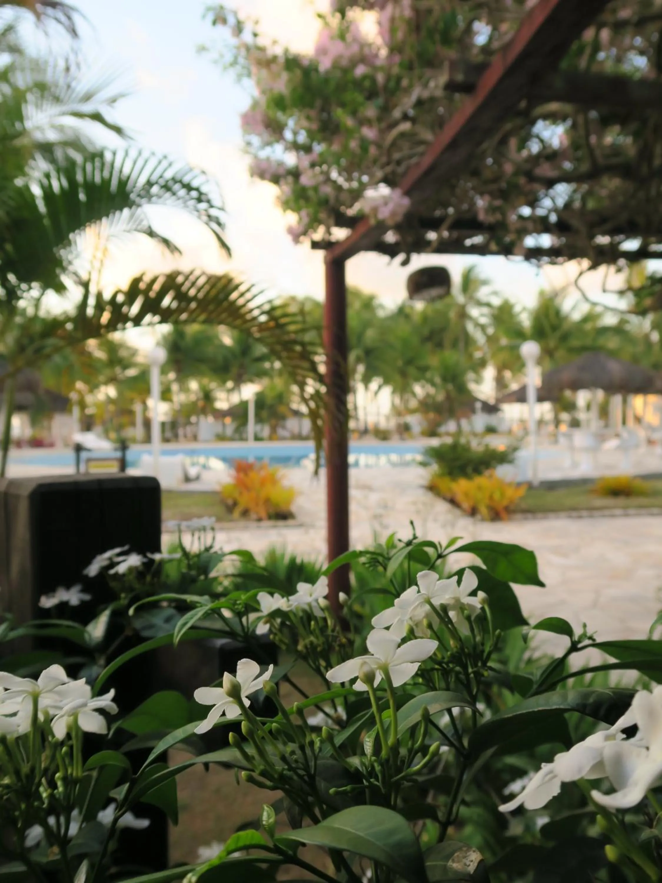 Garden in Hotel Marina Porto Abrolhos