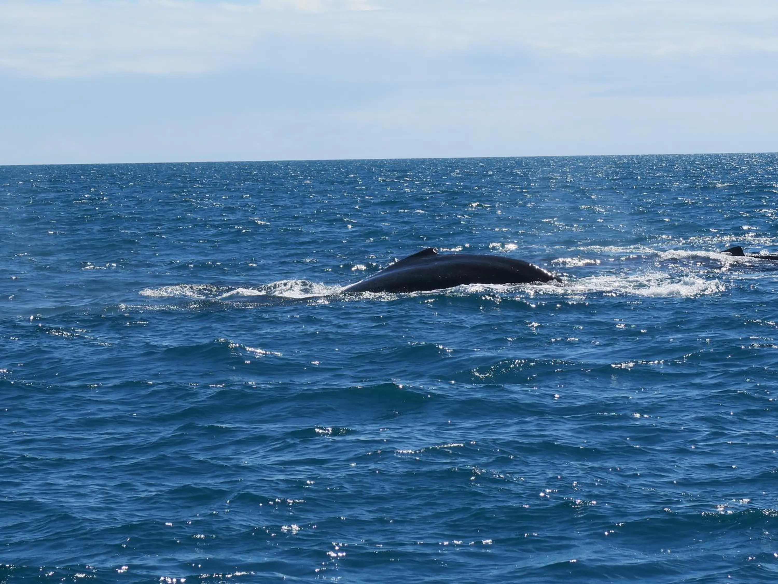 Natural landscape in Hotel Marina Porto Abrolhos