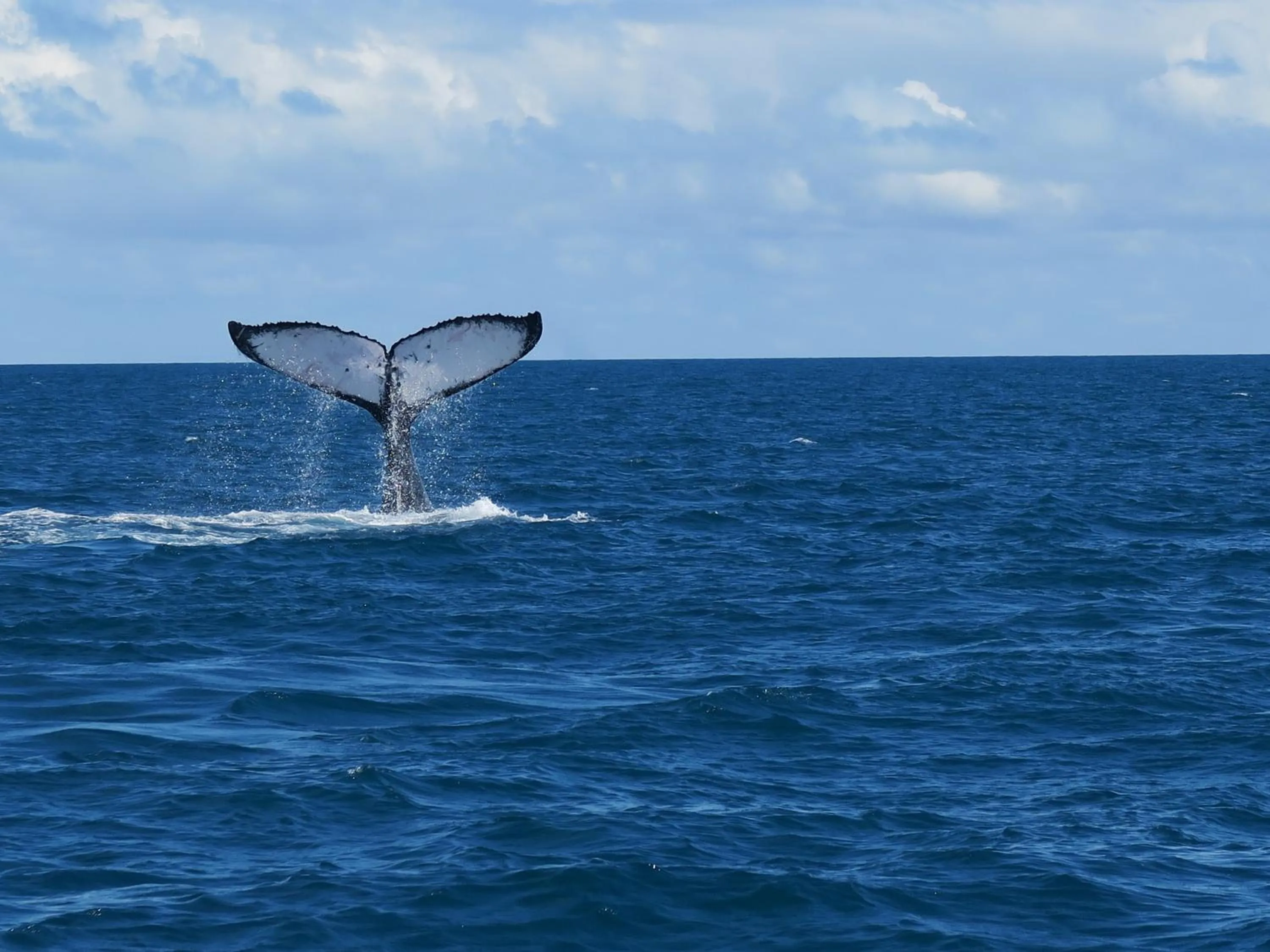 Natural landscape in Hotel Marina Porto Abrolhos