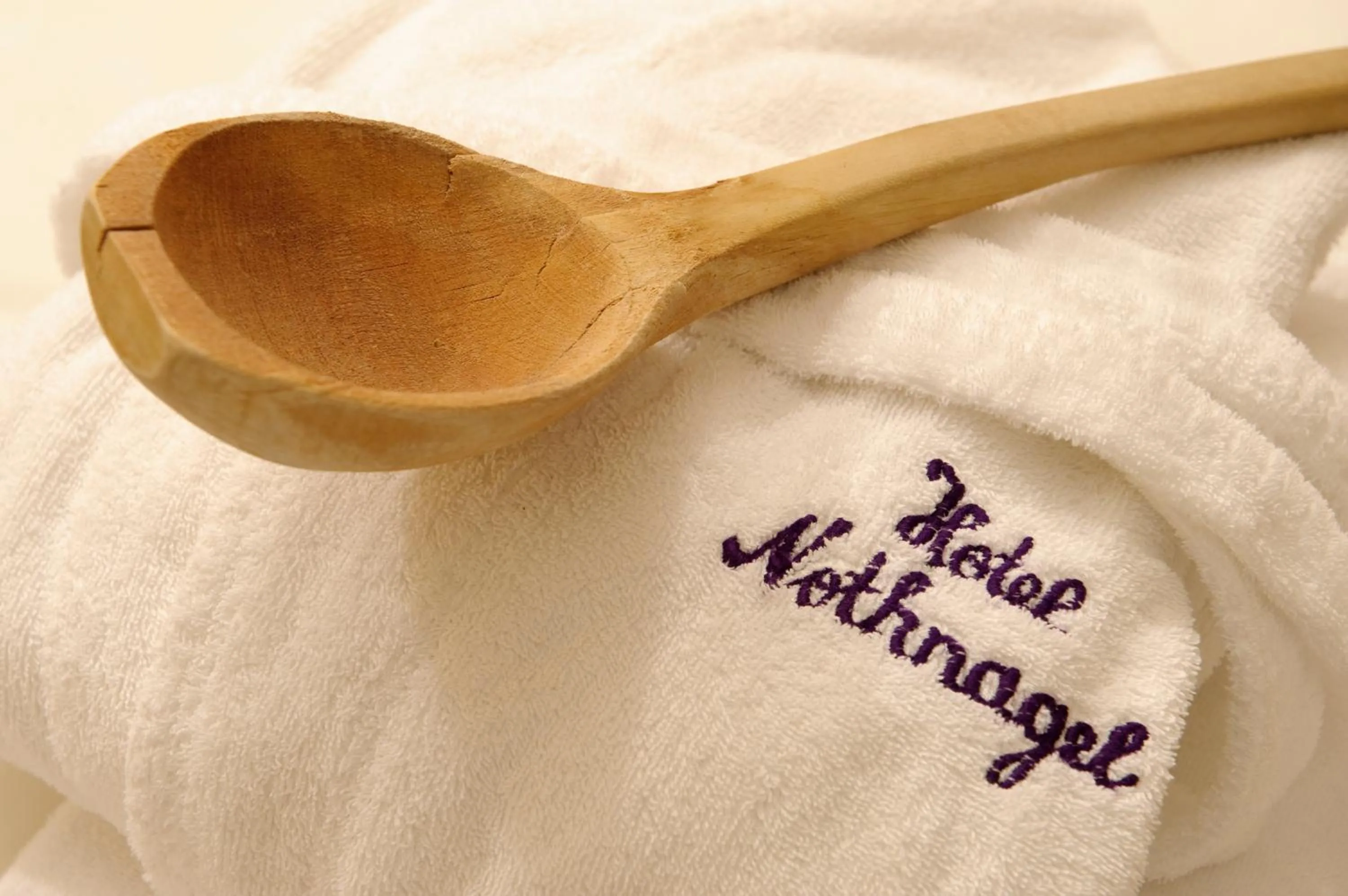 Sauna in Hotel Nothnagel