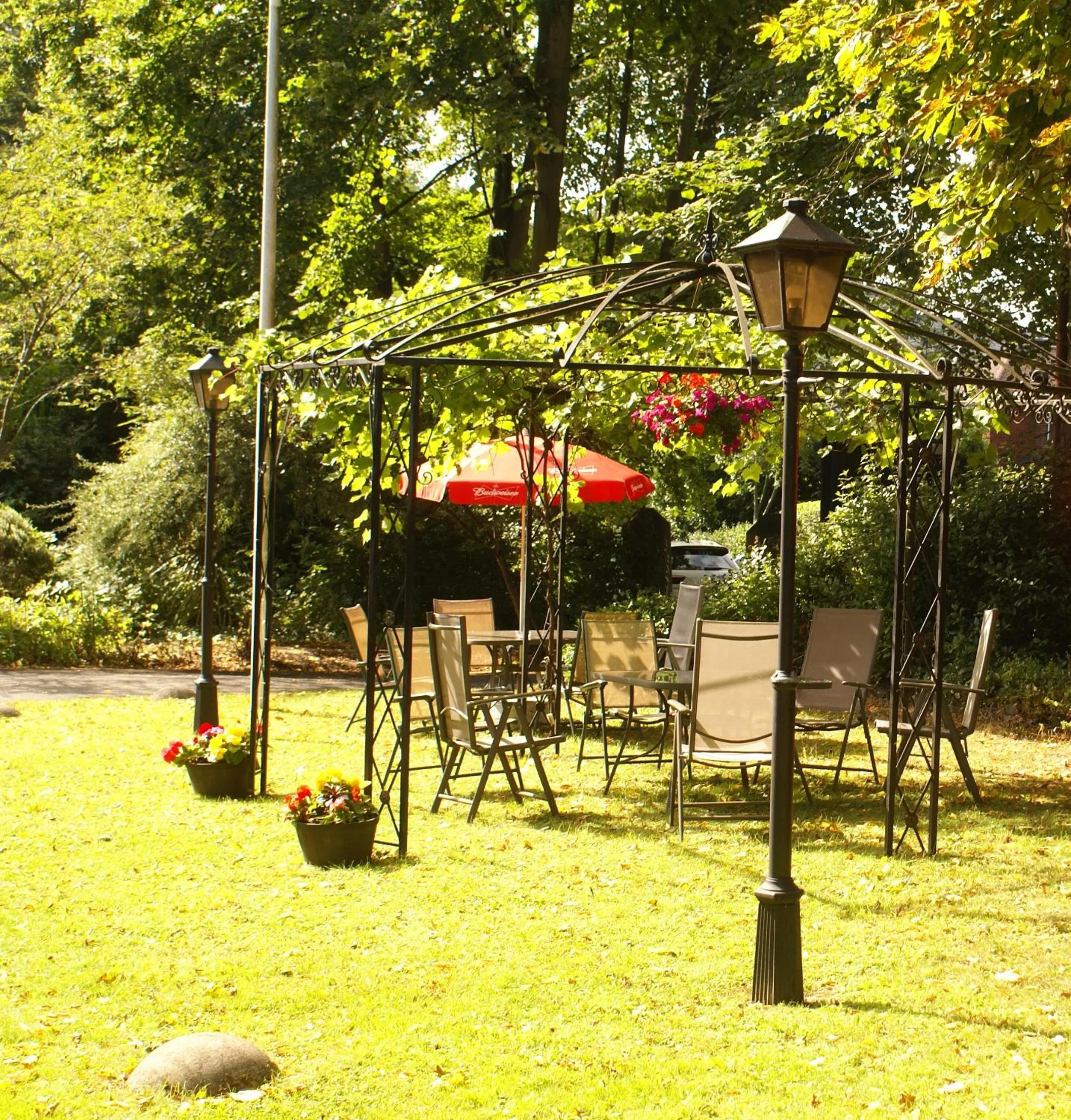 Garden in Haley's Hotel