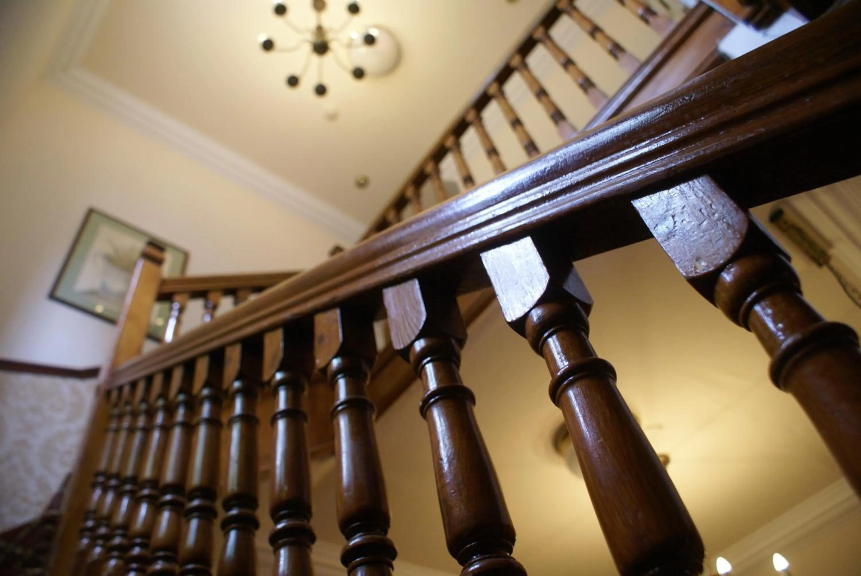 Lobby or reception in Haley's Hotel