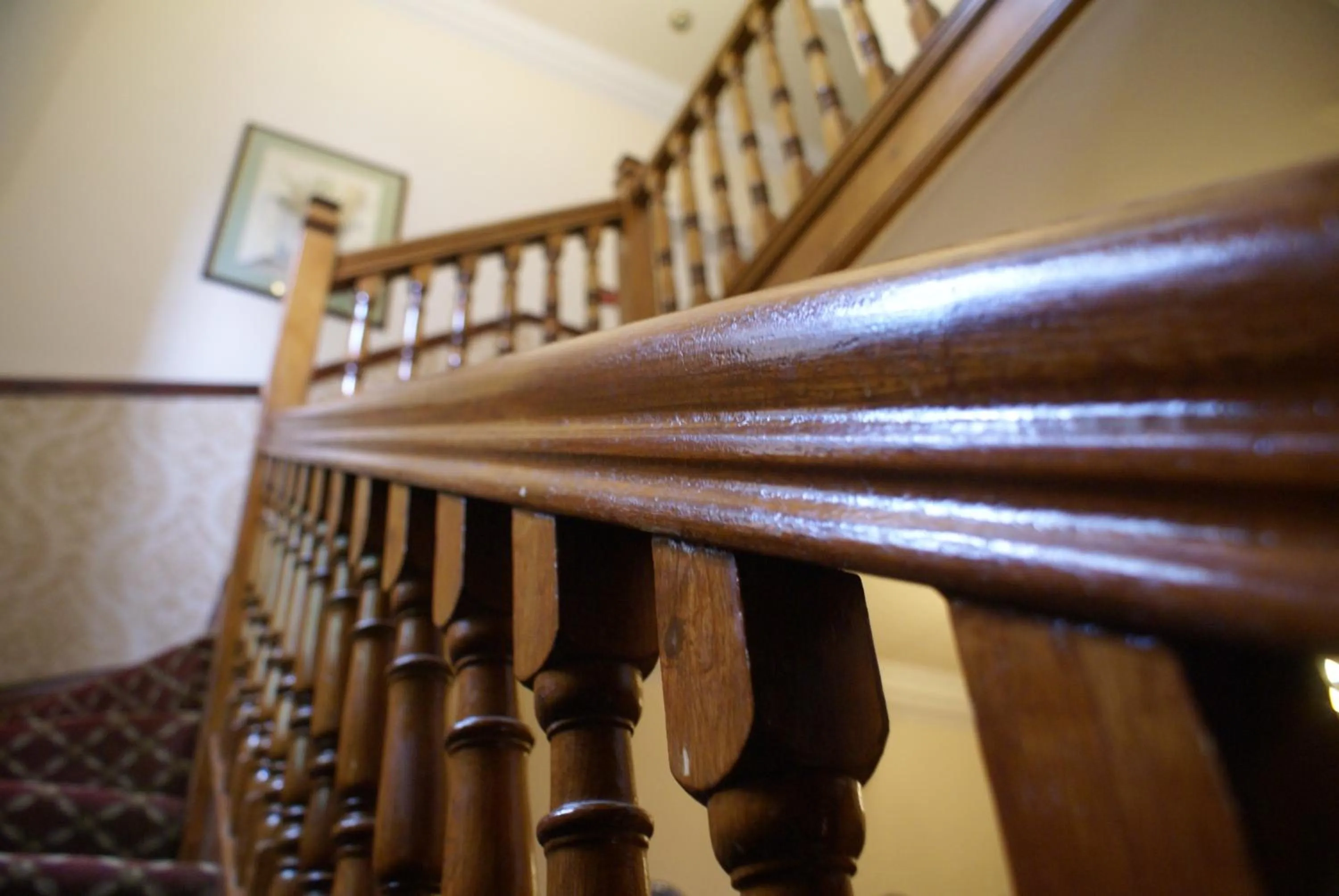 Lobby or reception in Haley's Hotel