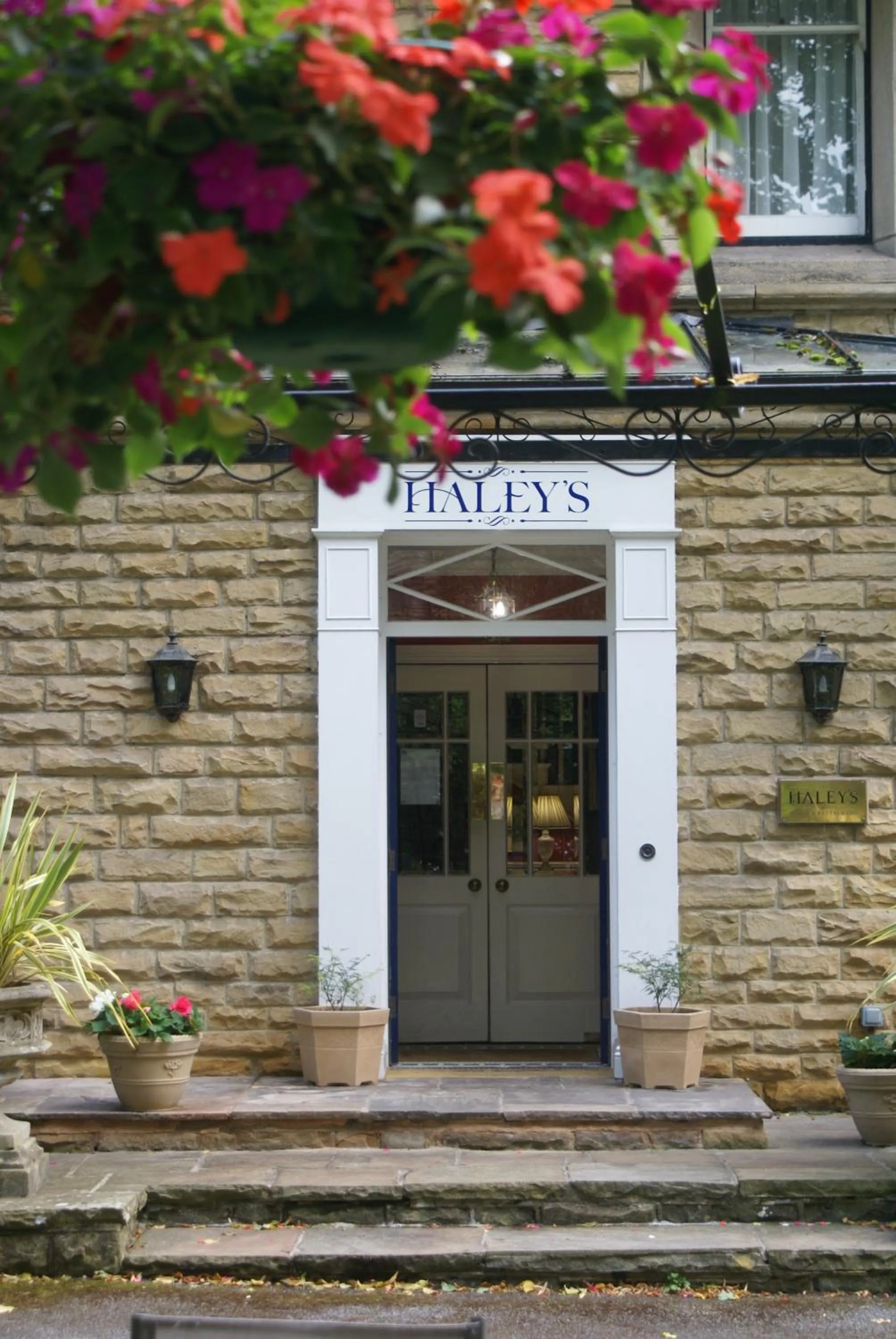 Property building in Haley's Hotel