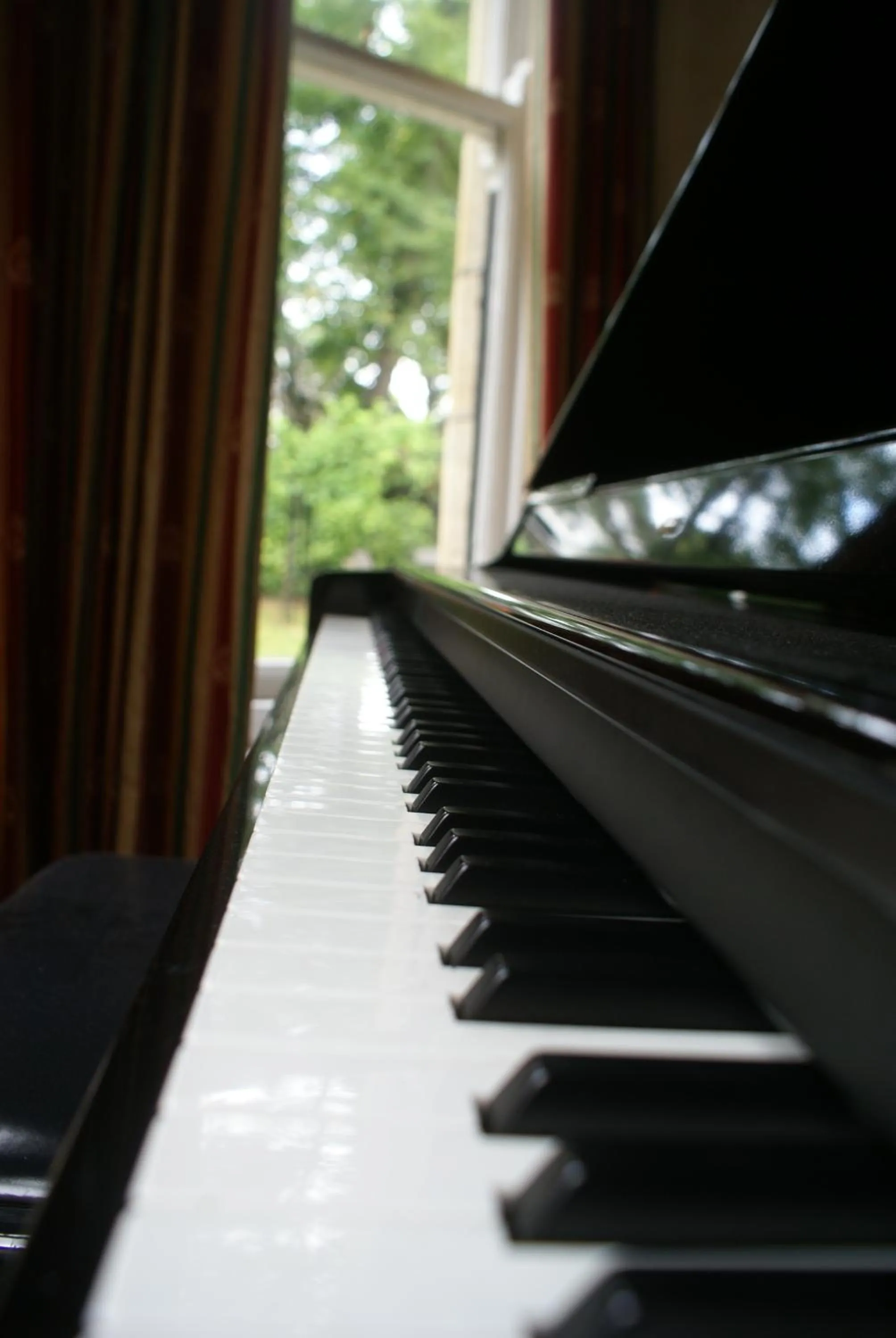 Library in Haley's Hotel