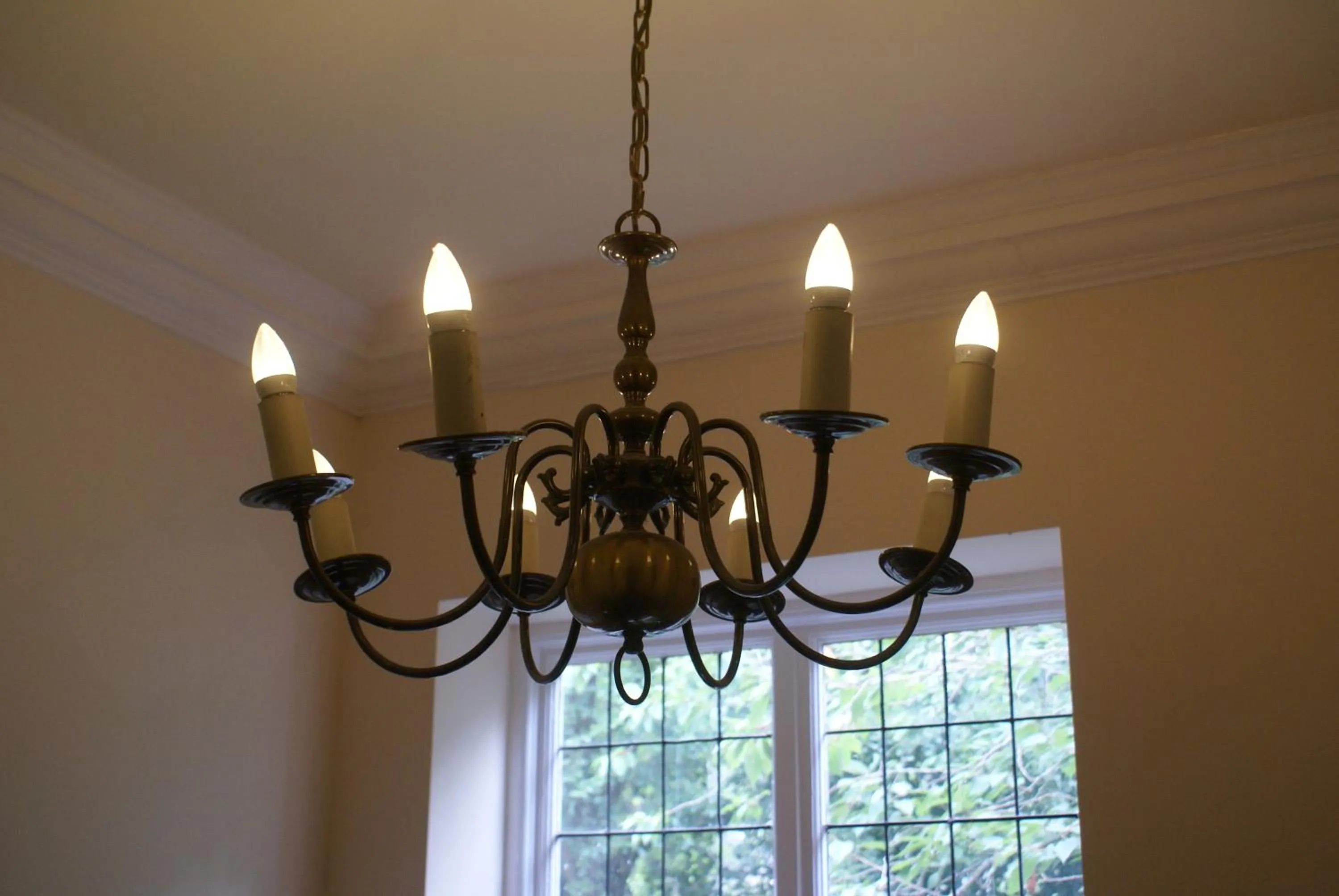 Lobby or reception in Haley's Hotel