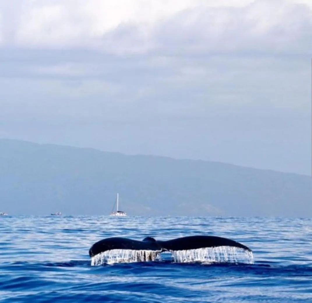 Natural landscape in Huskisson Hotel