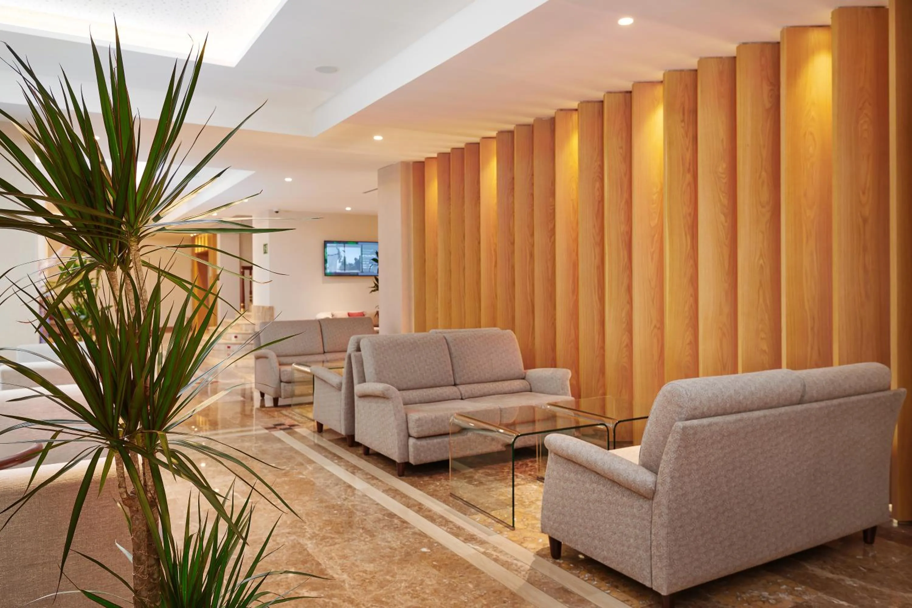 Lobby or reception in Hipotels Said