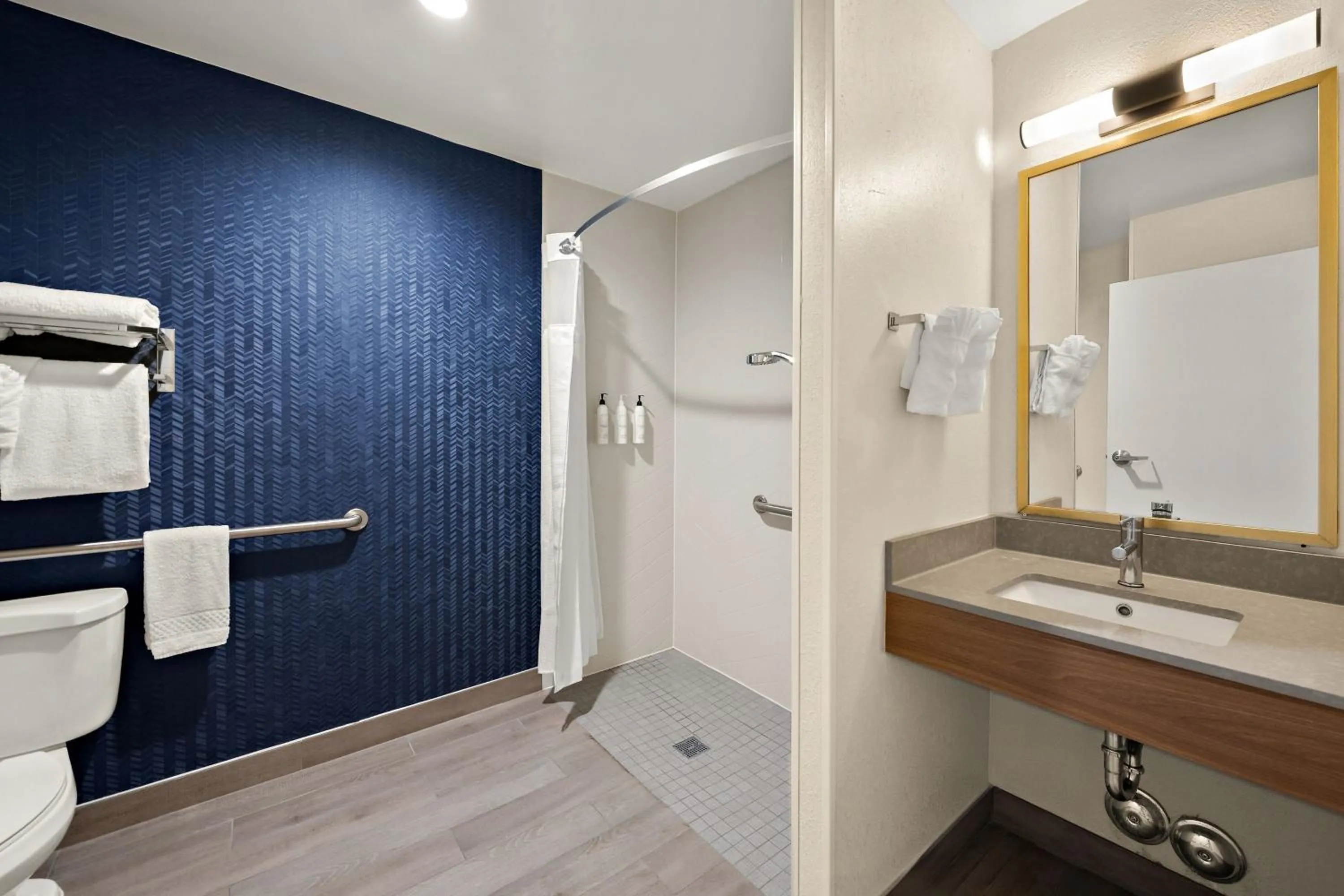 Bathroom in Fairfield by Marriott Chesapeake