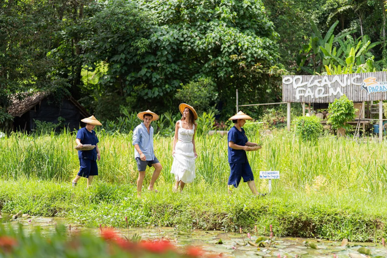 Activities in TreeHouse Villas Koh Yao - Adults Only