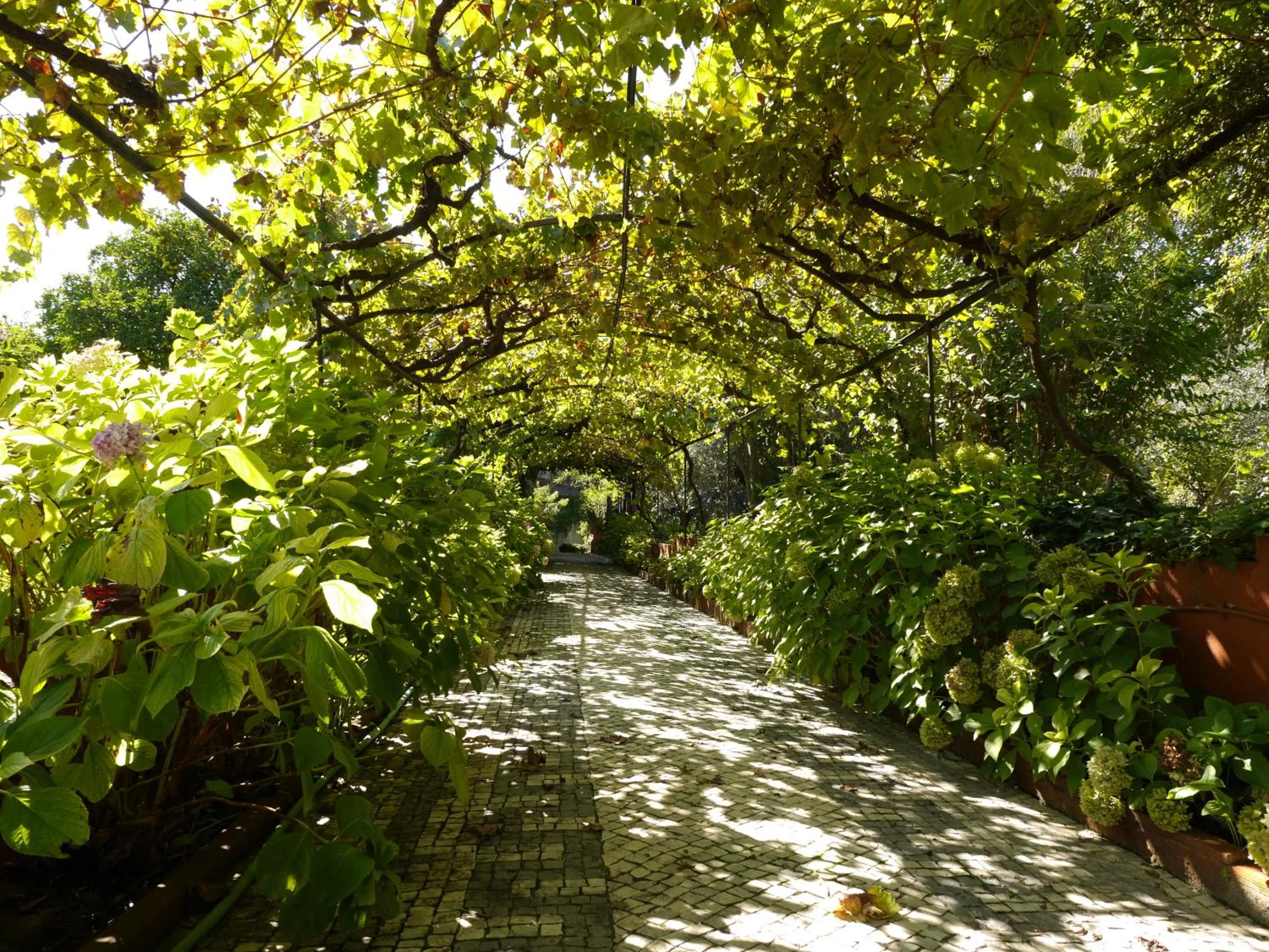 Facade/entrance in Casa Dos Arrabidos