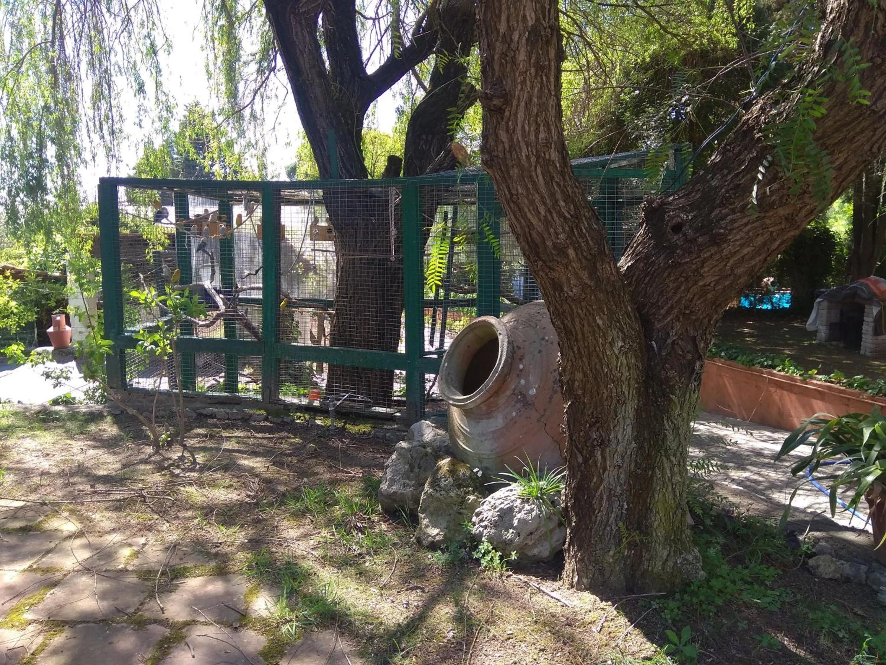 Garden in Casa Dos Arrabidos