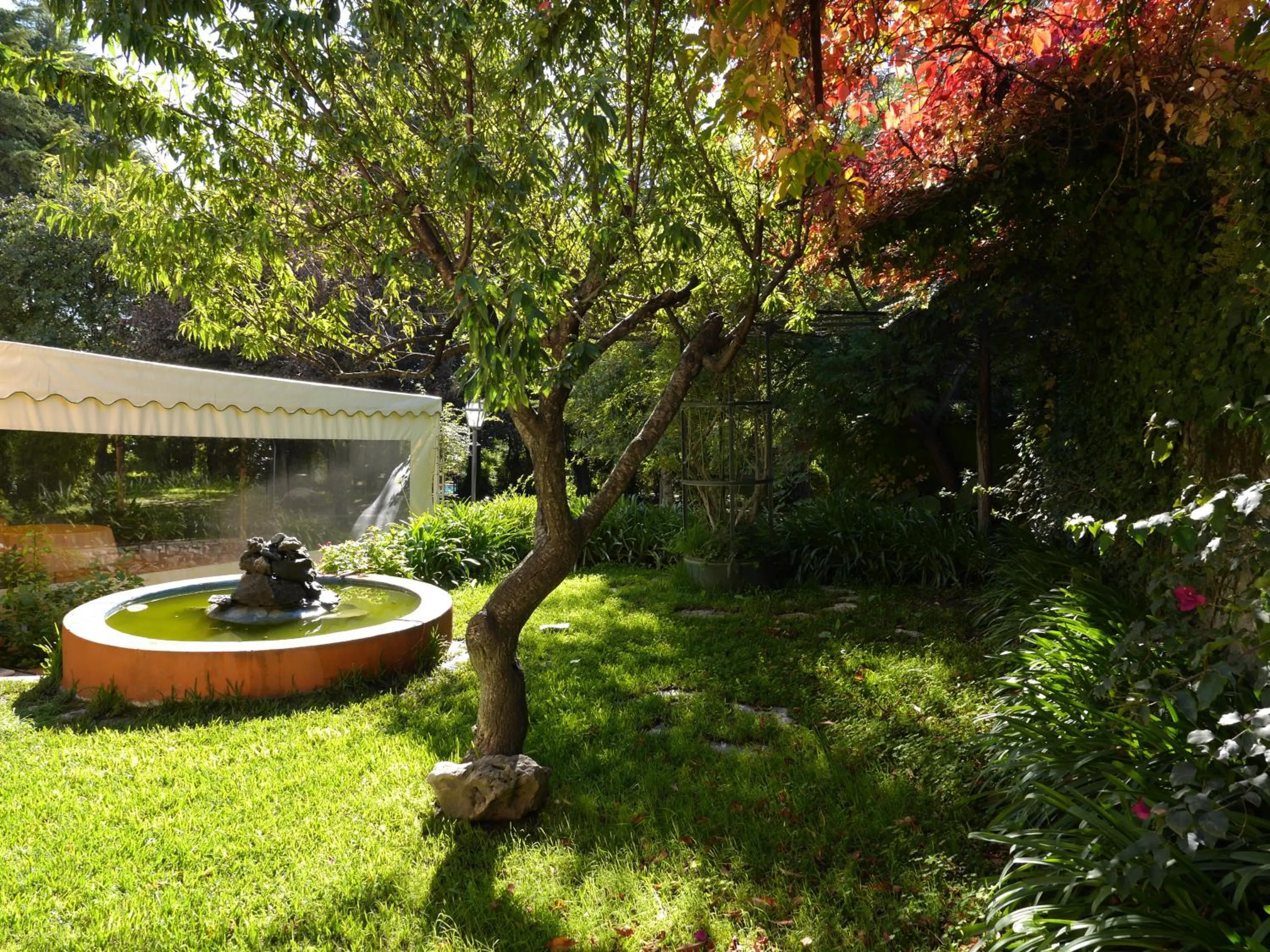 Garden in Casa Dos Arrabidos