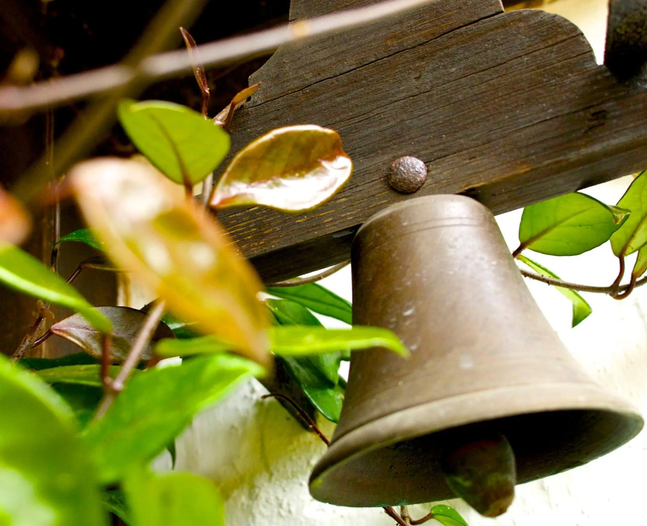 Property building in Casa Dos Arrabidos