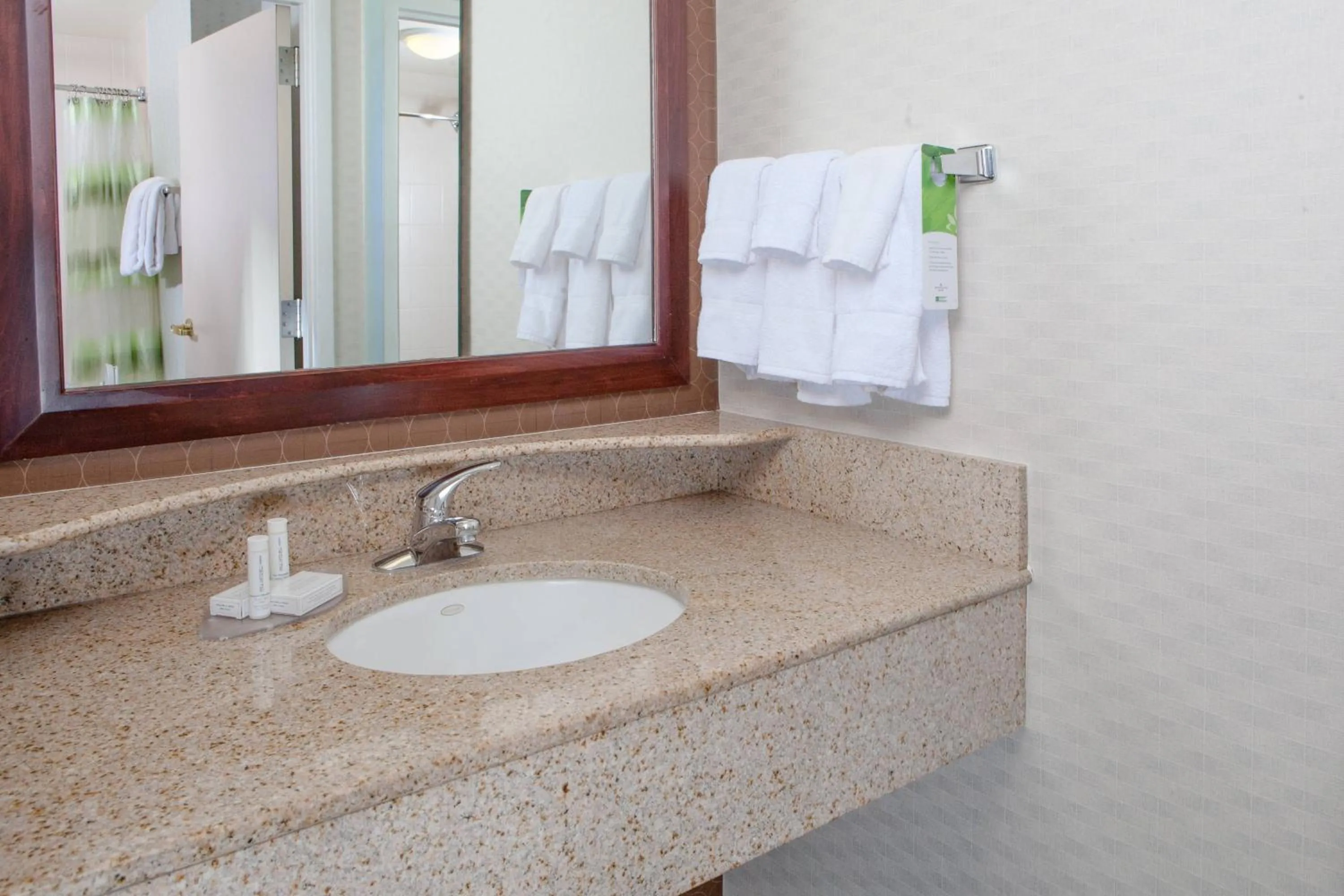Bathroom in SpringHill Suites by Marriott Norfolk Virginia Beach