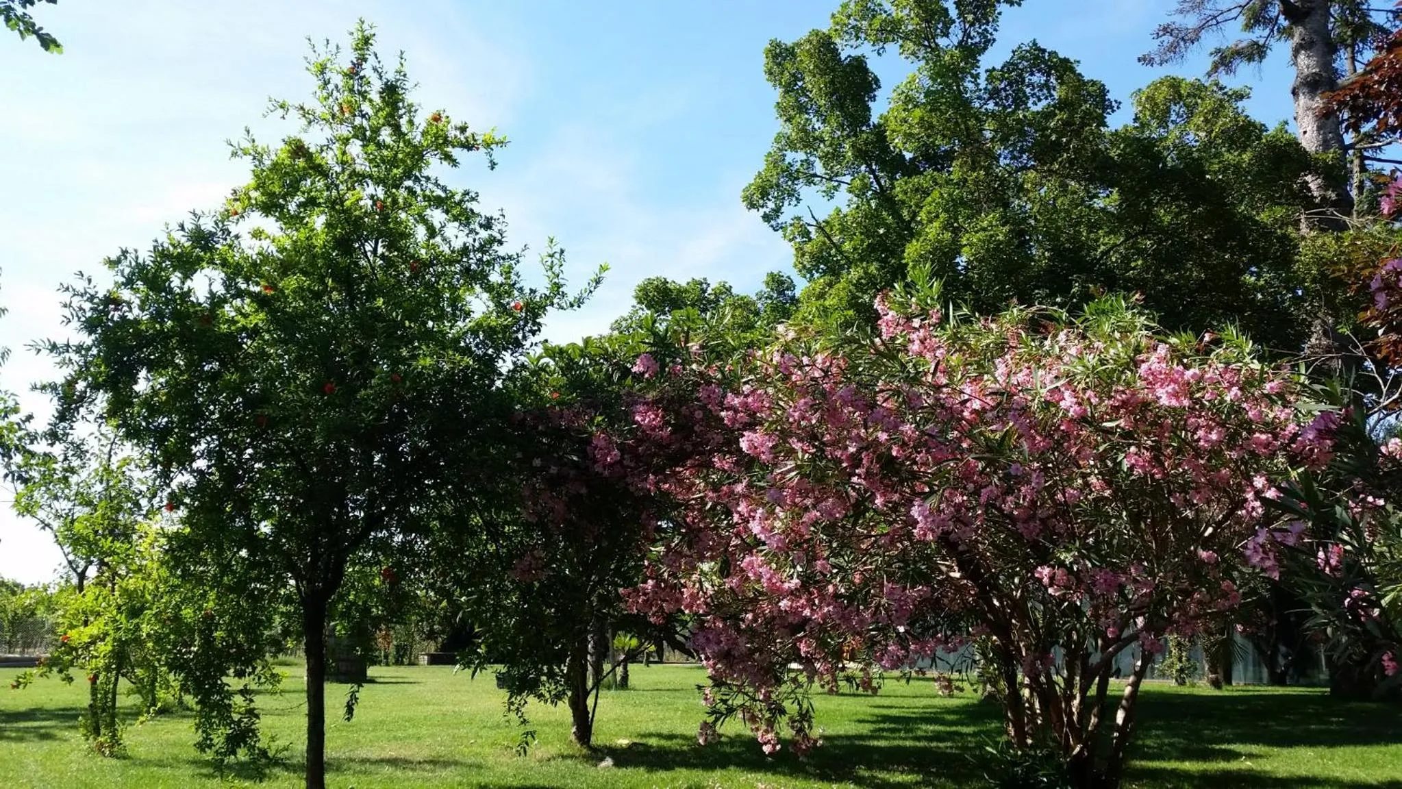 Garden in Locanda di Casa Spadoni